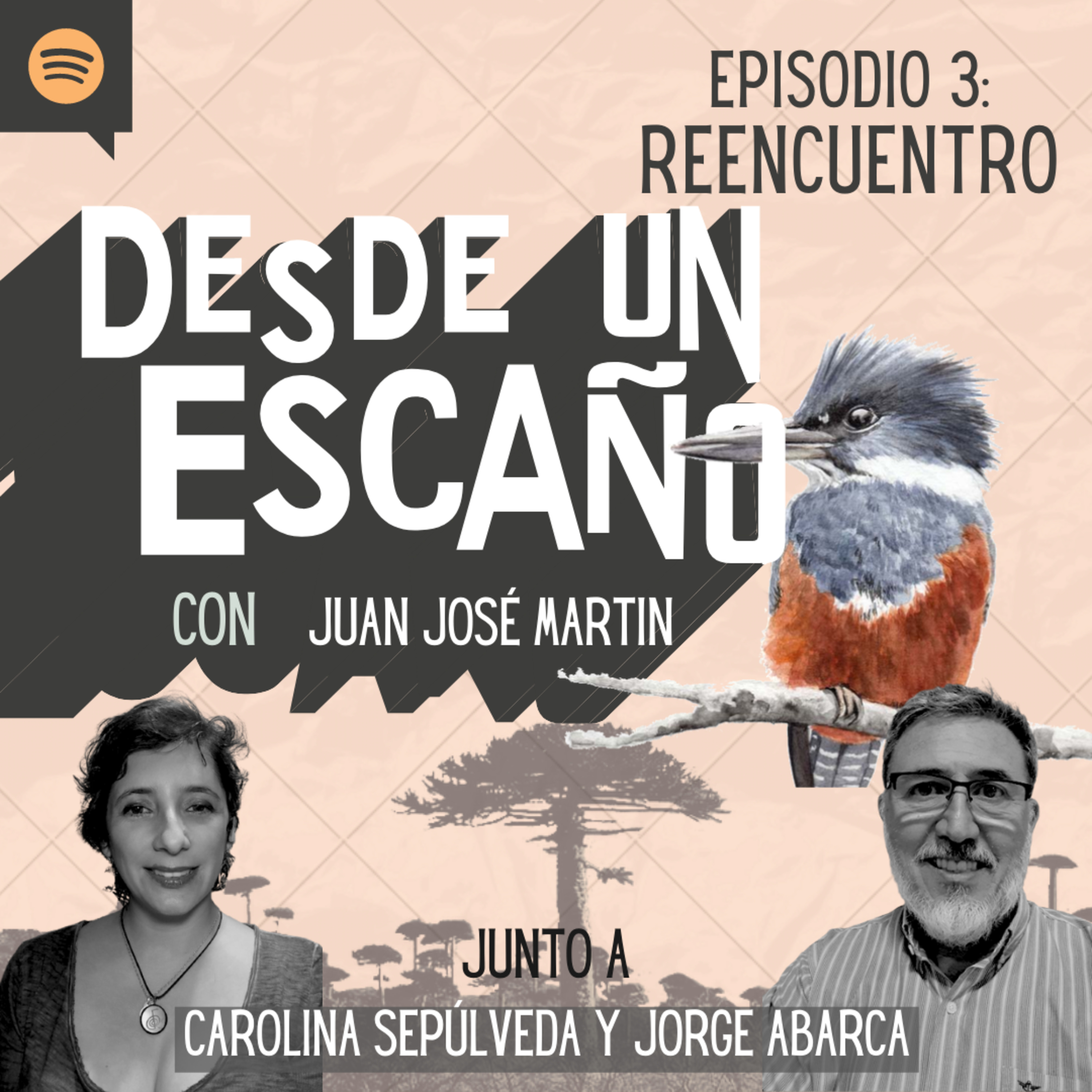 Desde un Escaño de la Convención