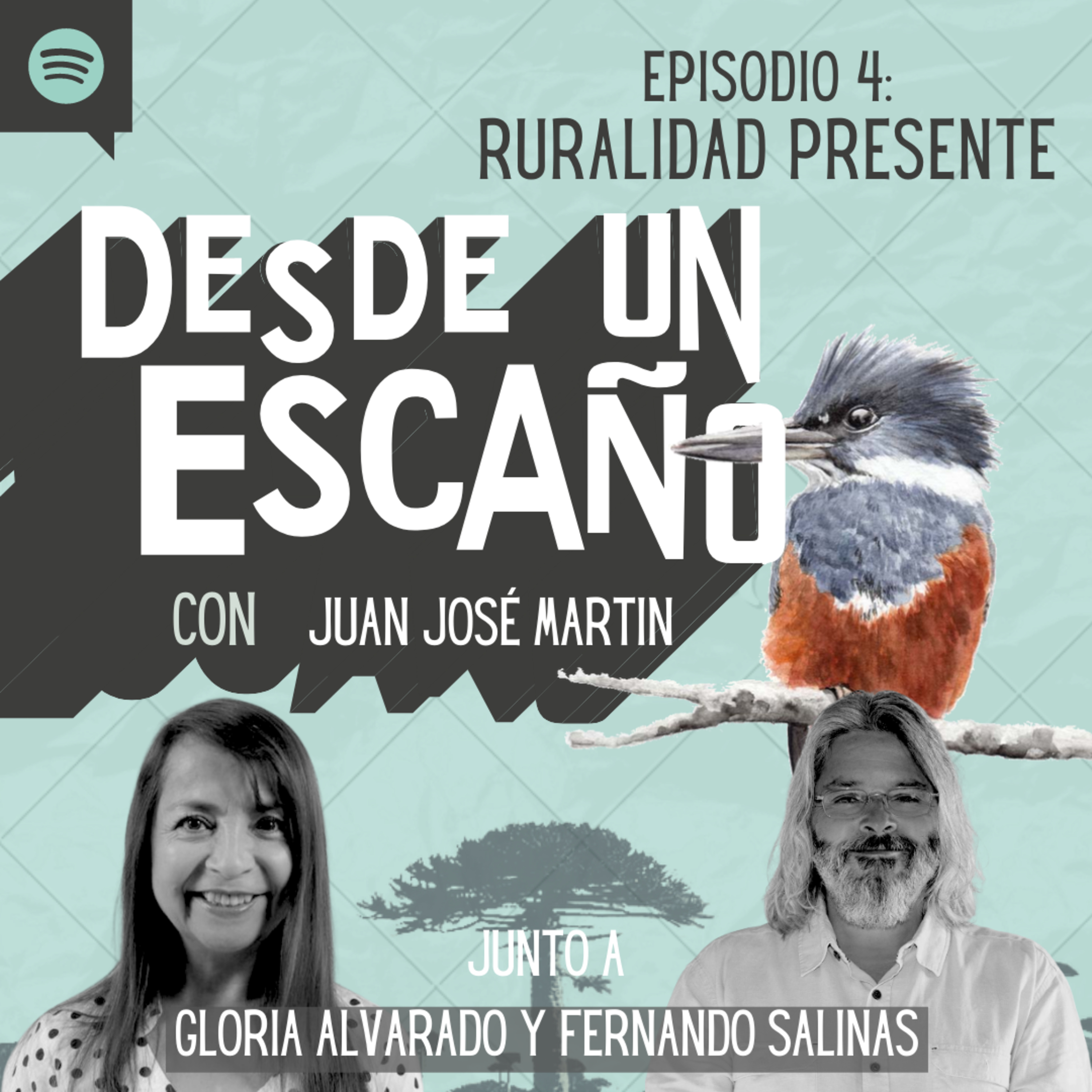 Desde un Escaño de la Convención
