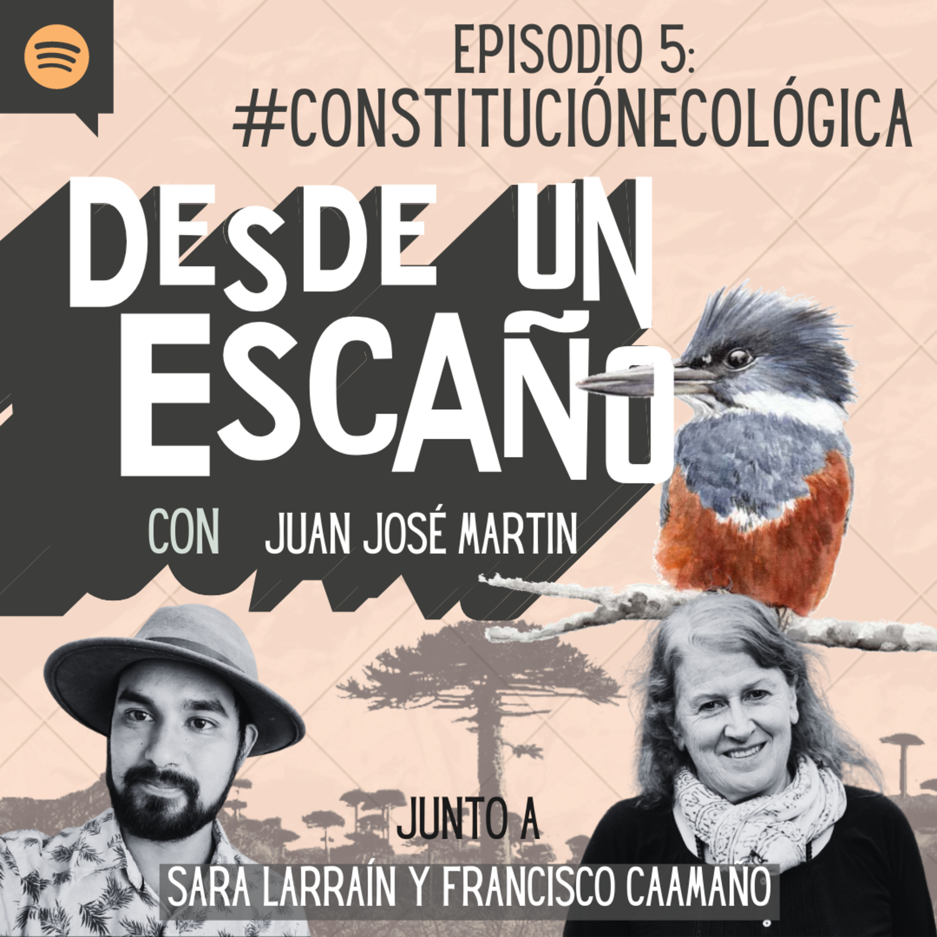 Desde un Escaño de la Convención