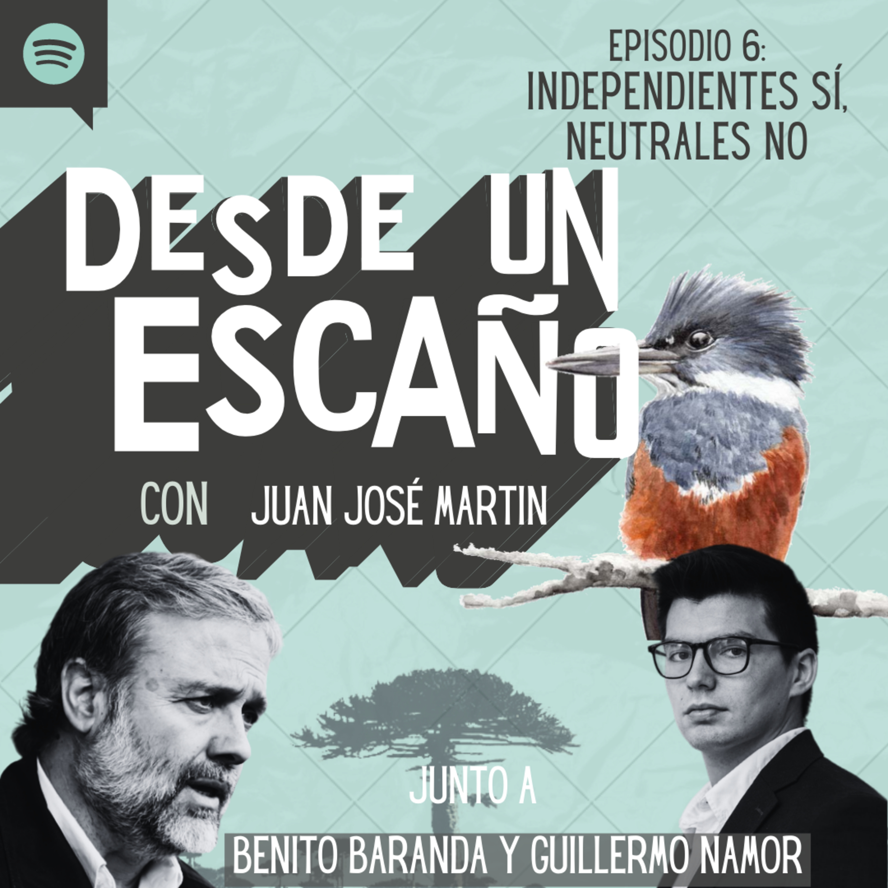 Desde un Escaño de la Convención