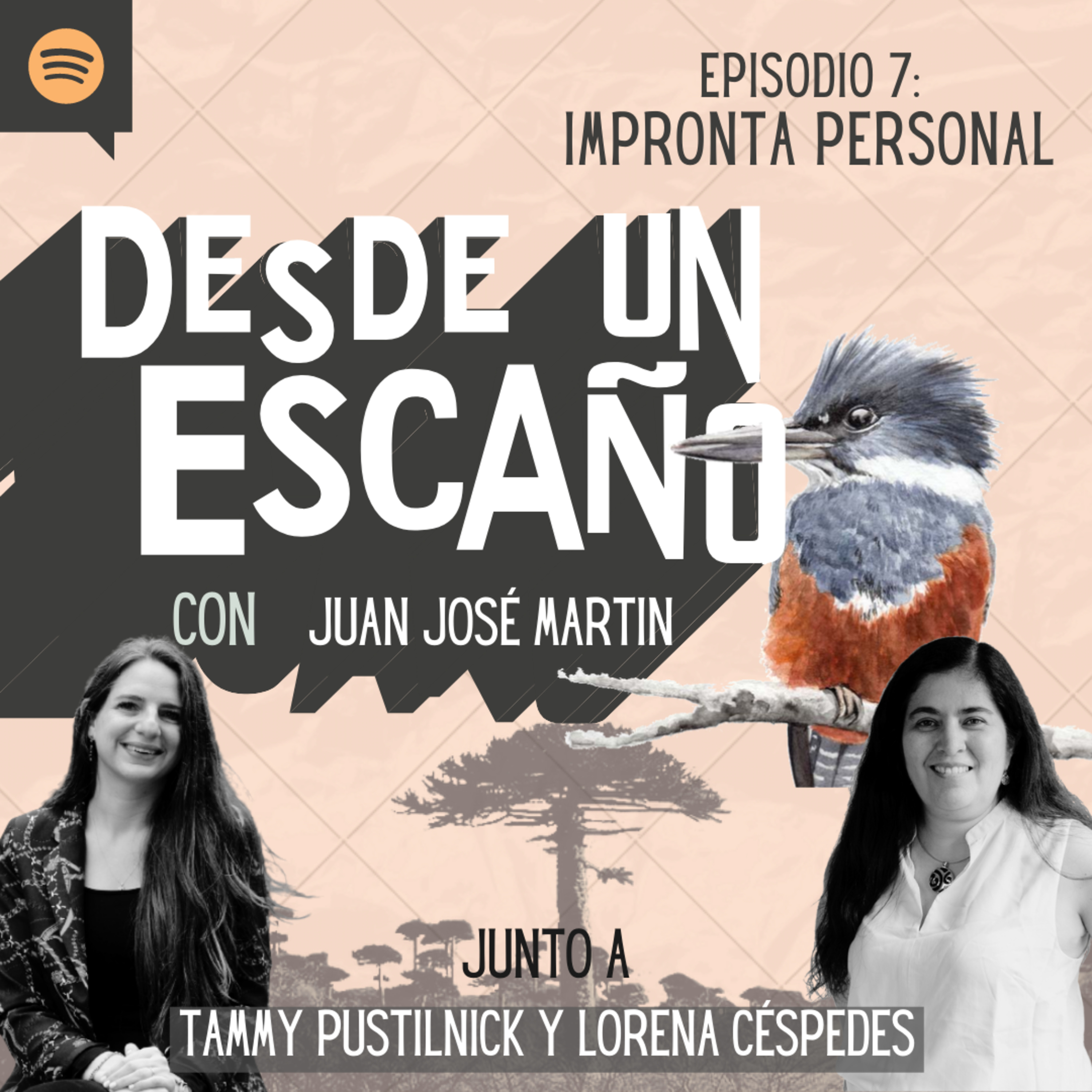 Desde un Escaño de la Convención