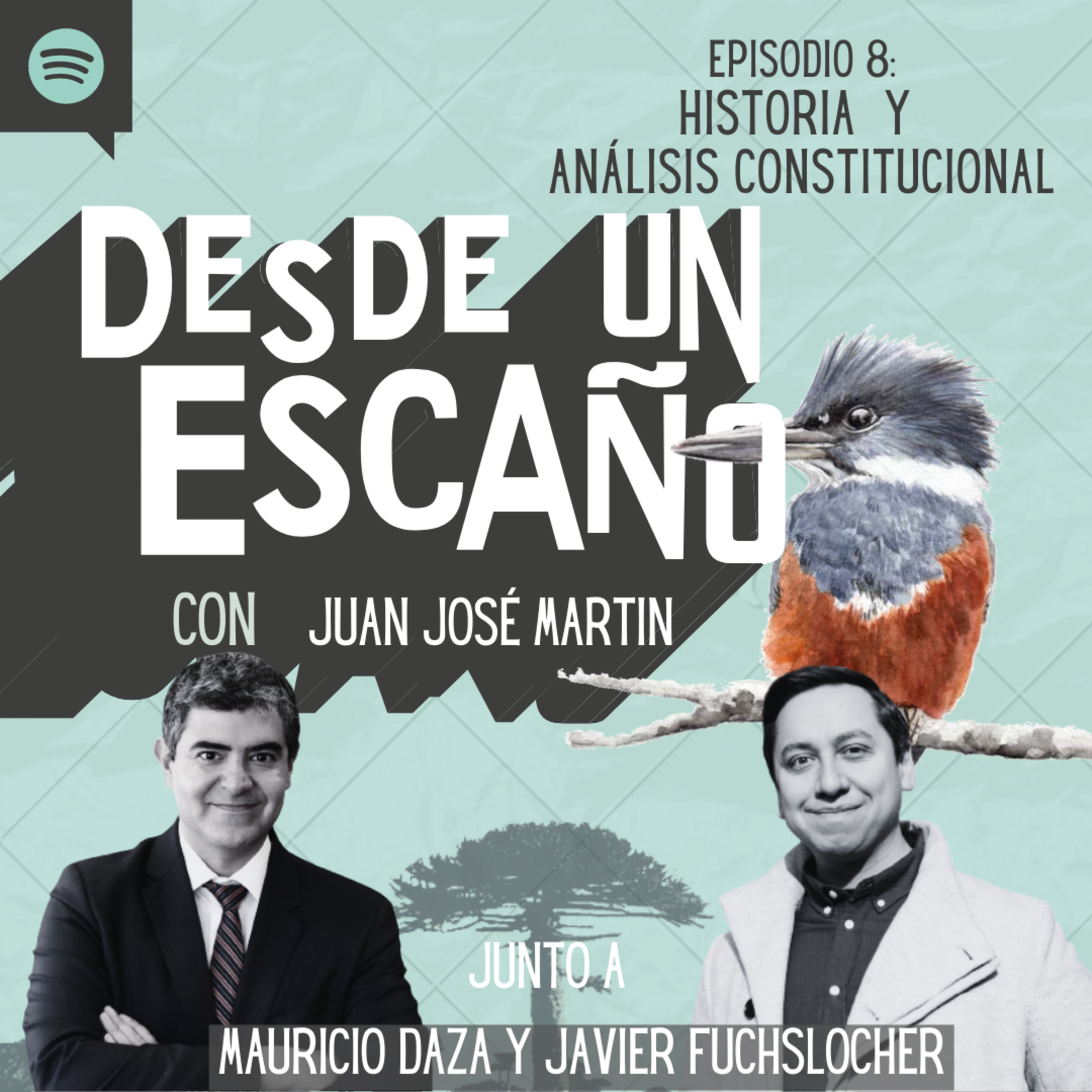 Desde un Escaño de la Convención