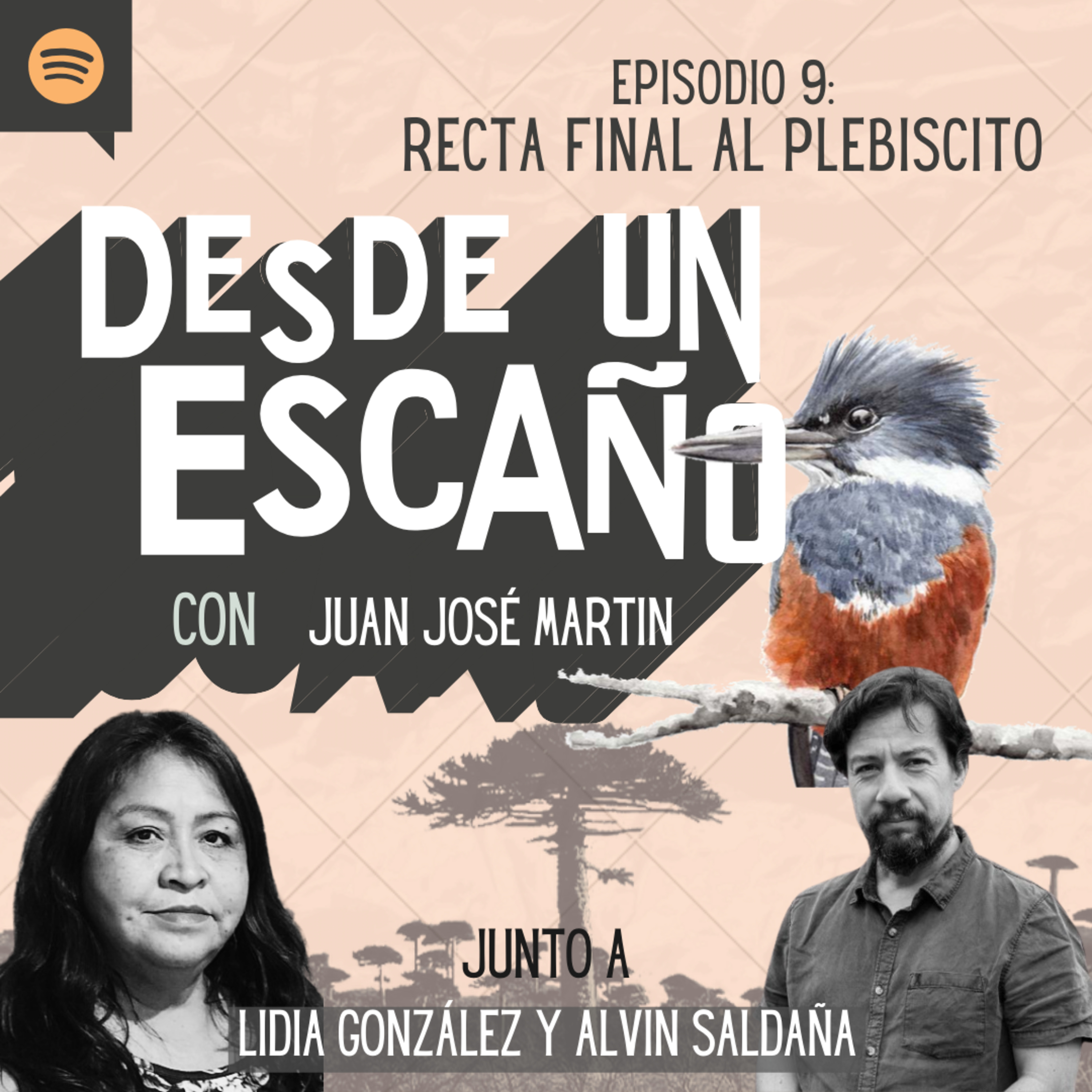 Desde un Escaño de la Convención