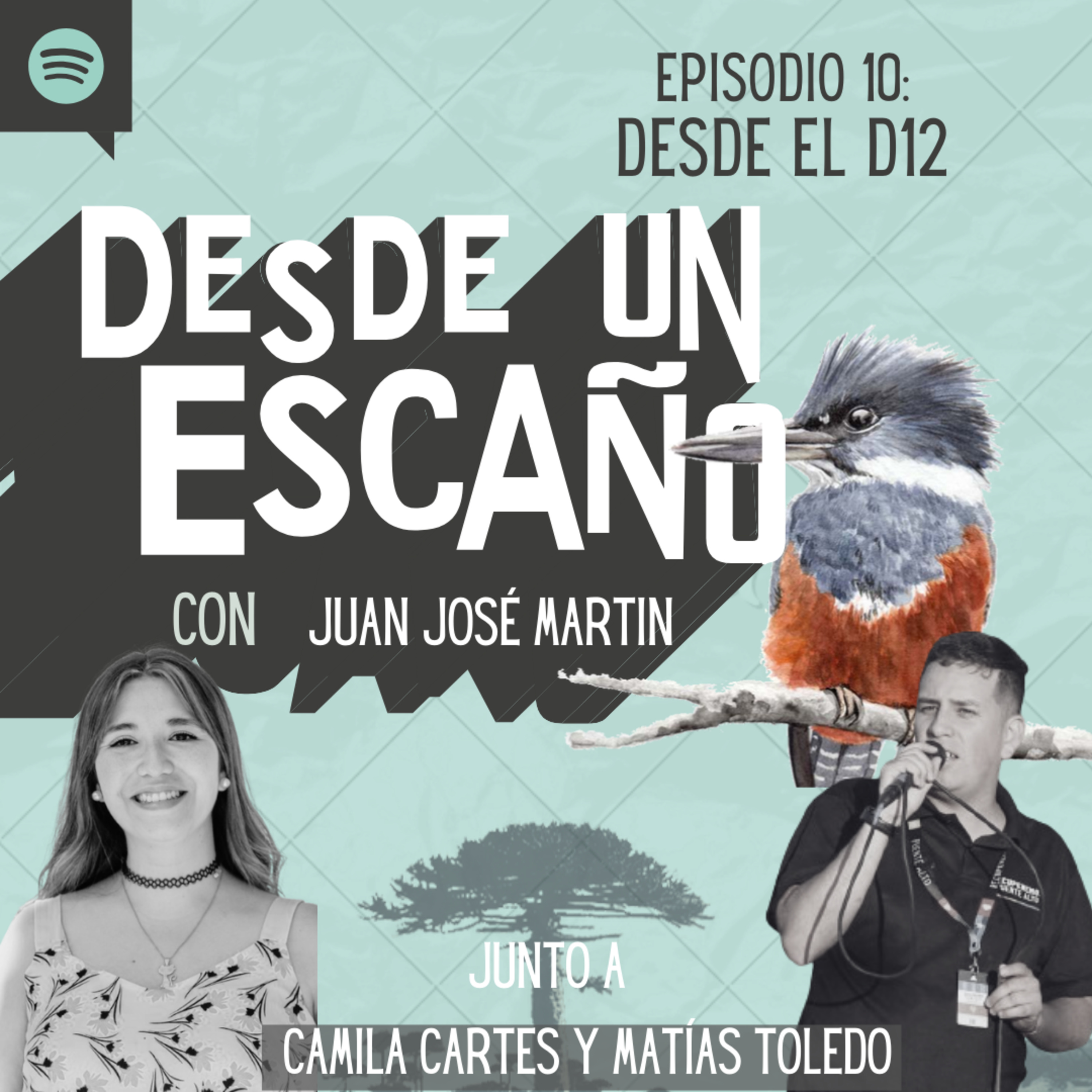 Desde un Escaño de la Convención