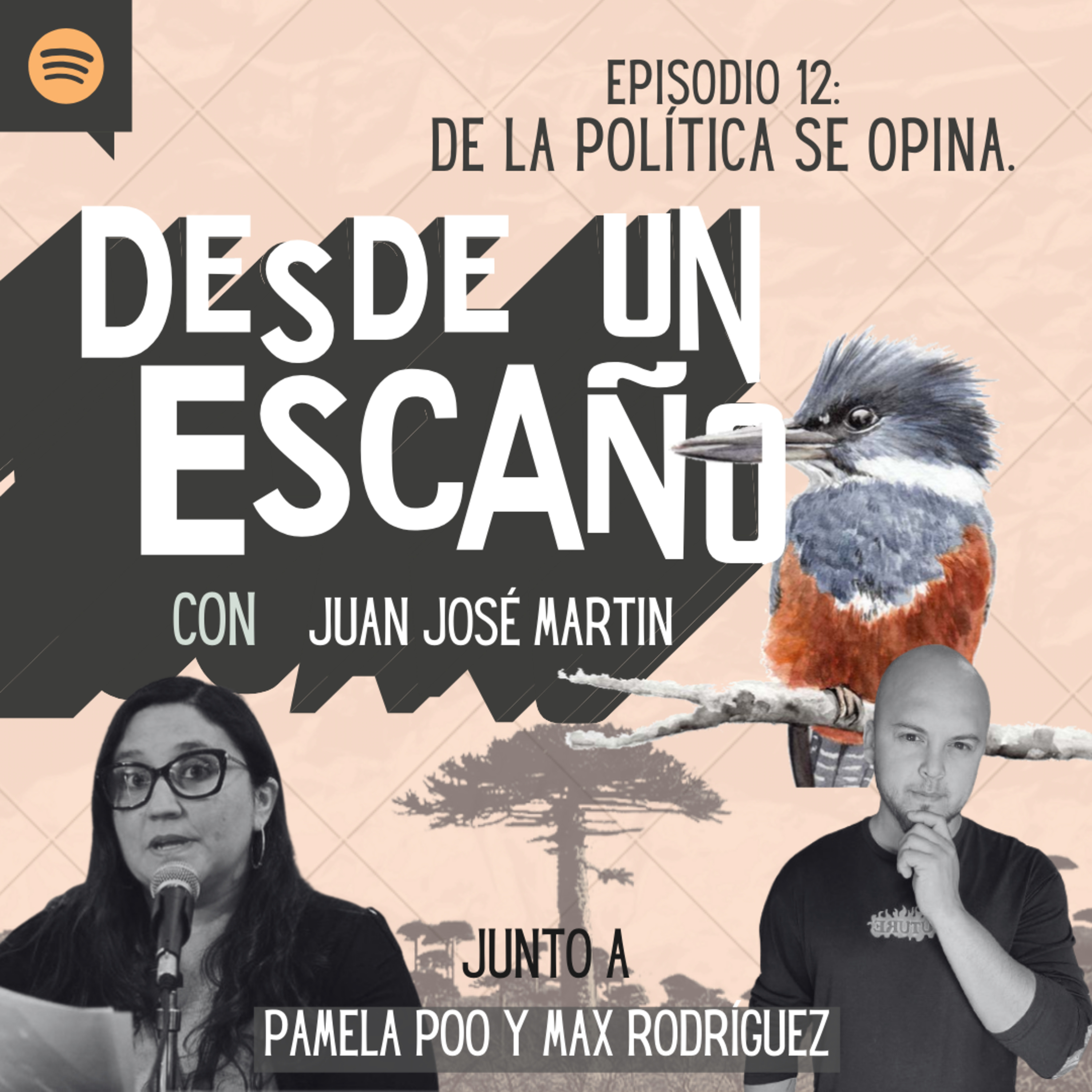 Desde un Escaño de la Convención