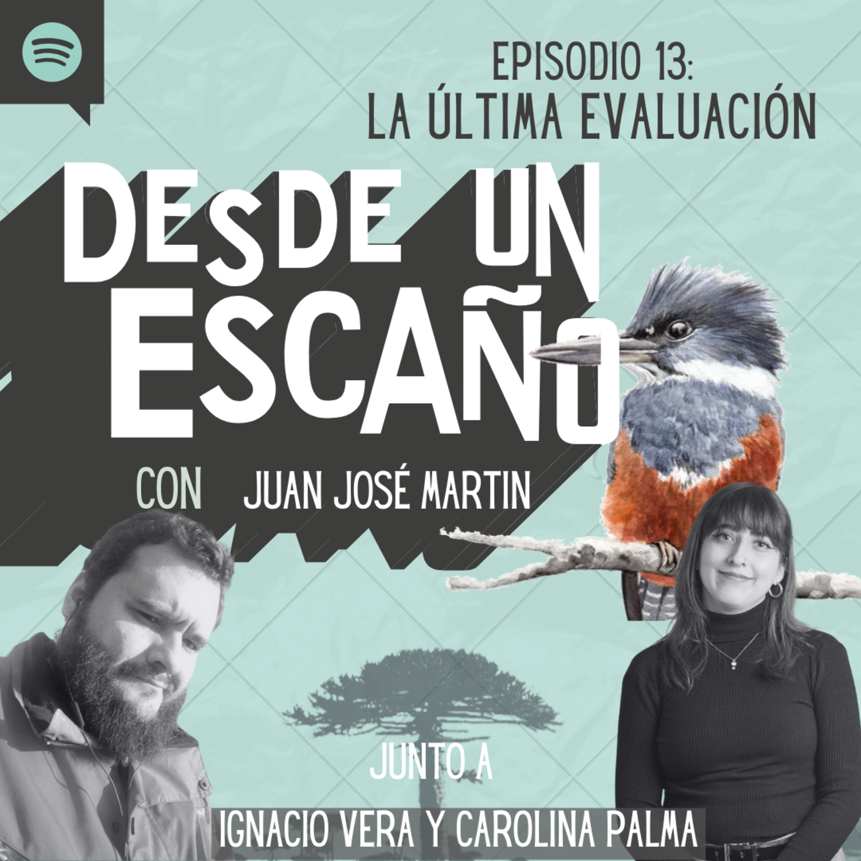 Desde un Escaño de la Convención