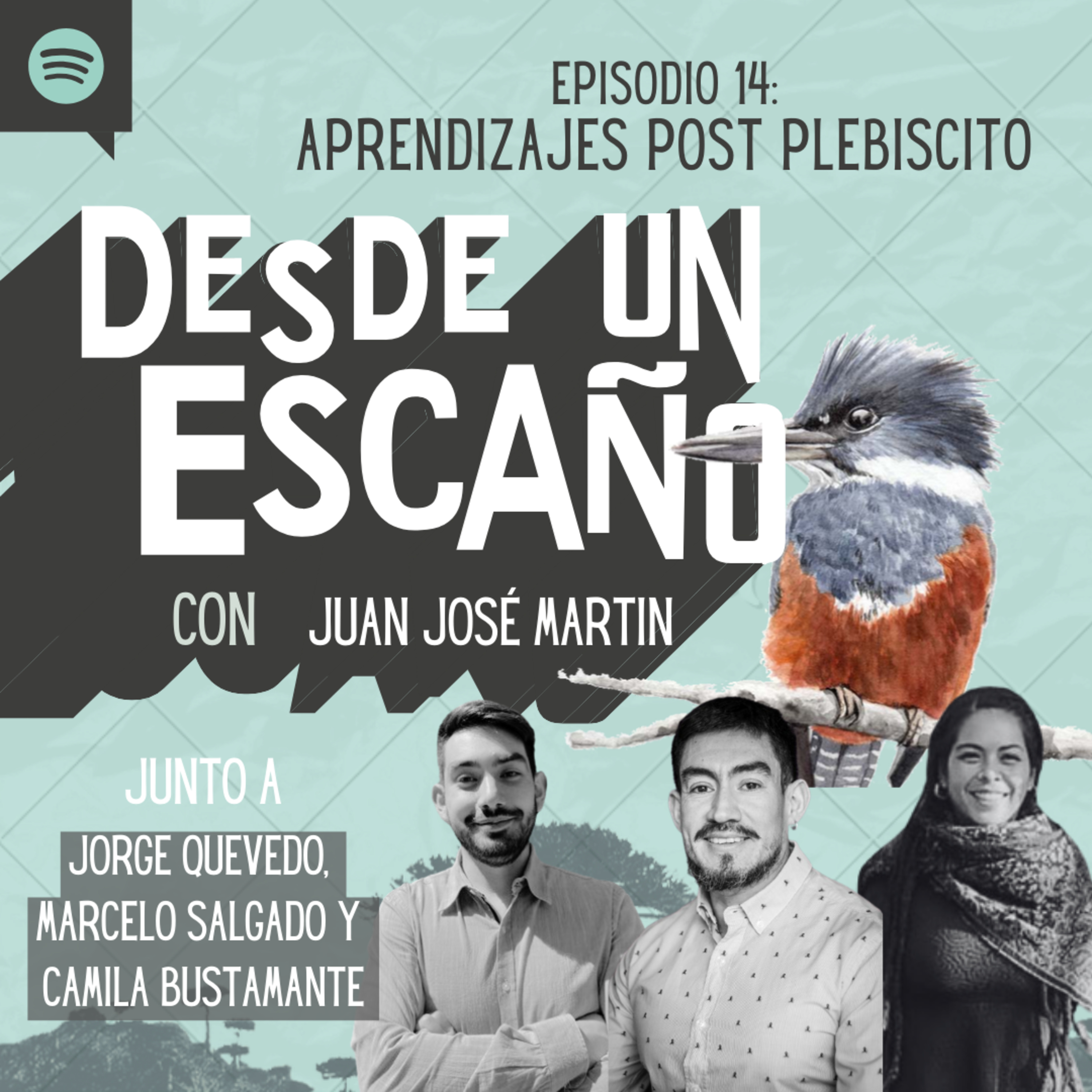 Desde un Escaño de la Convención