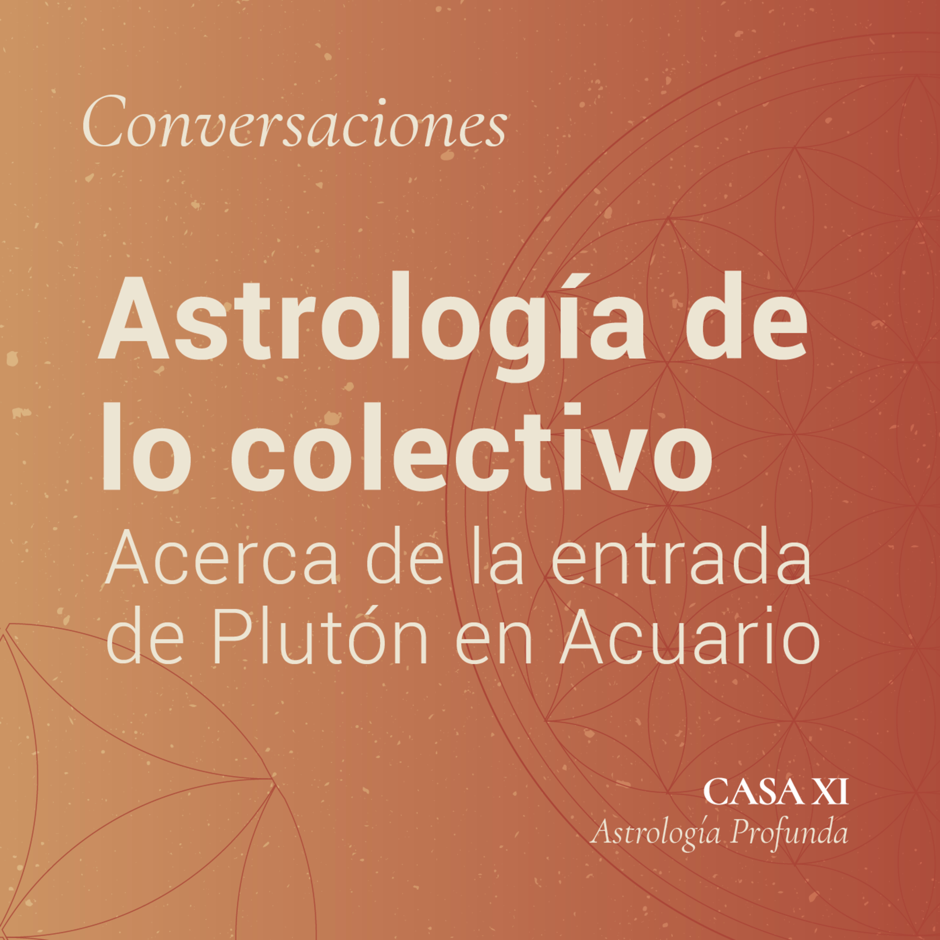 Acción y Reacción. Episodio 2