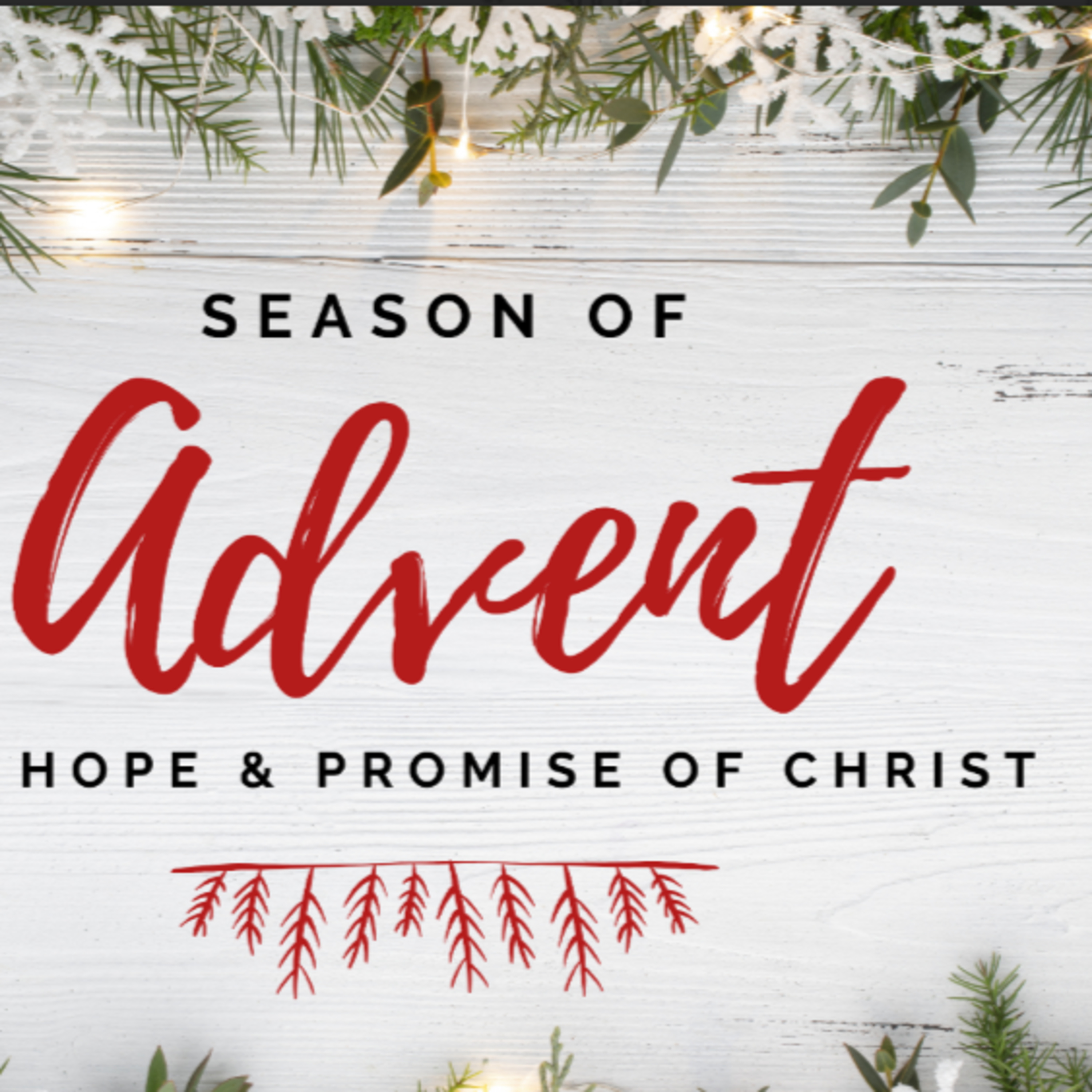 The Sunday Message | Rock Vineyard