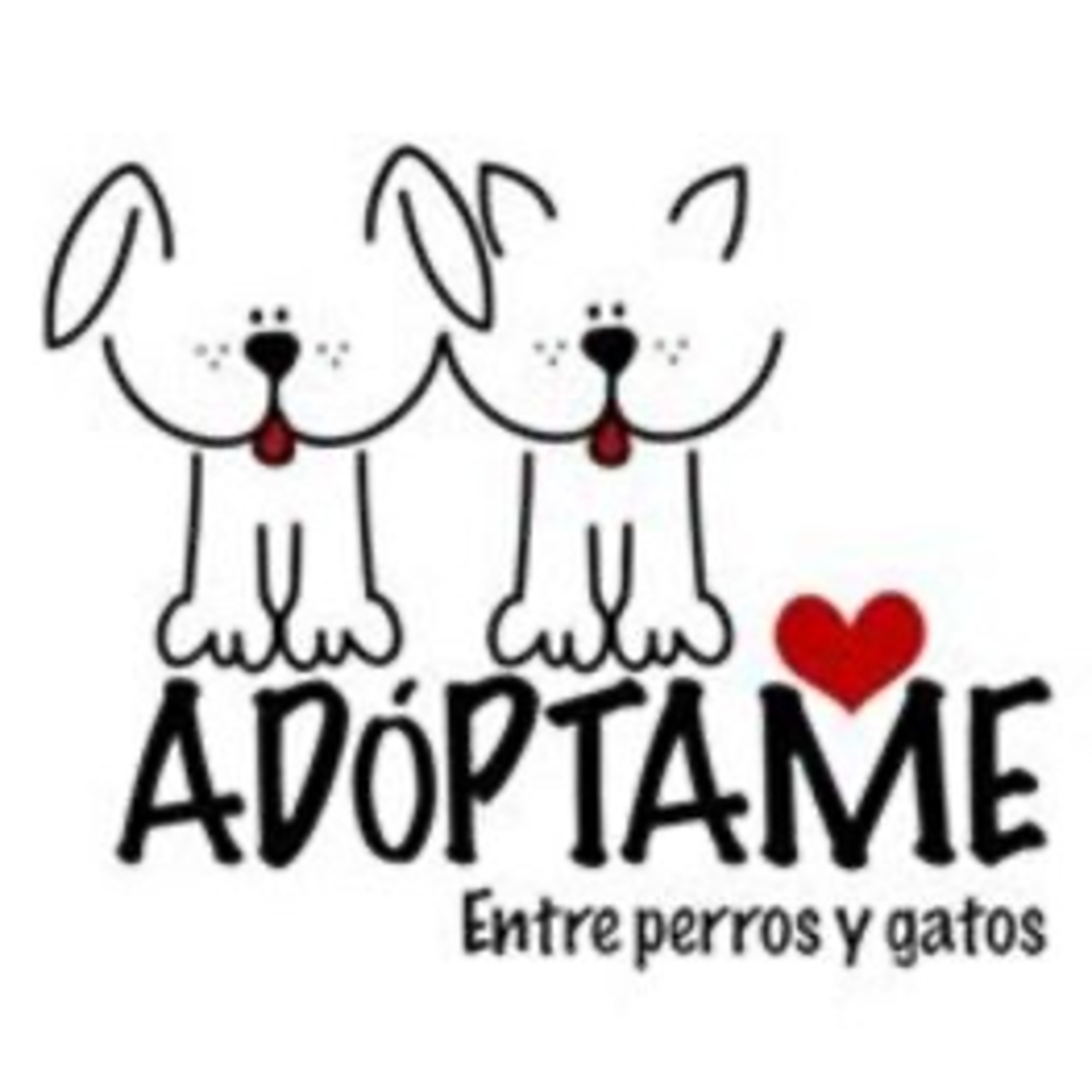 Portada de Esencia Animal