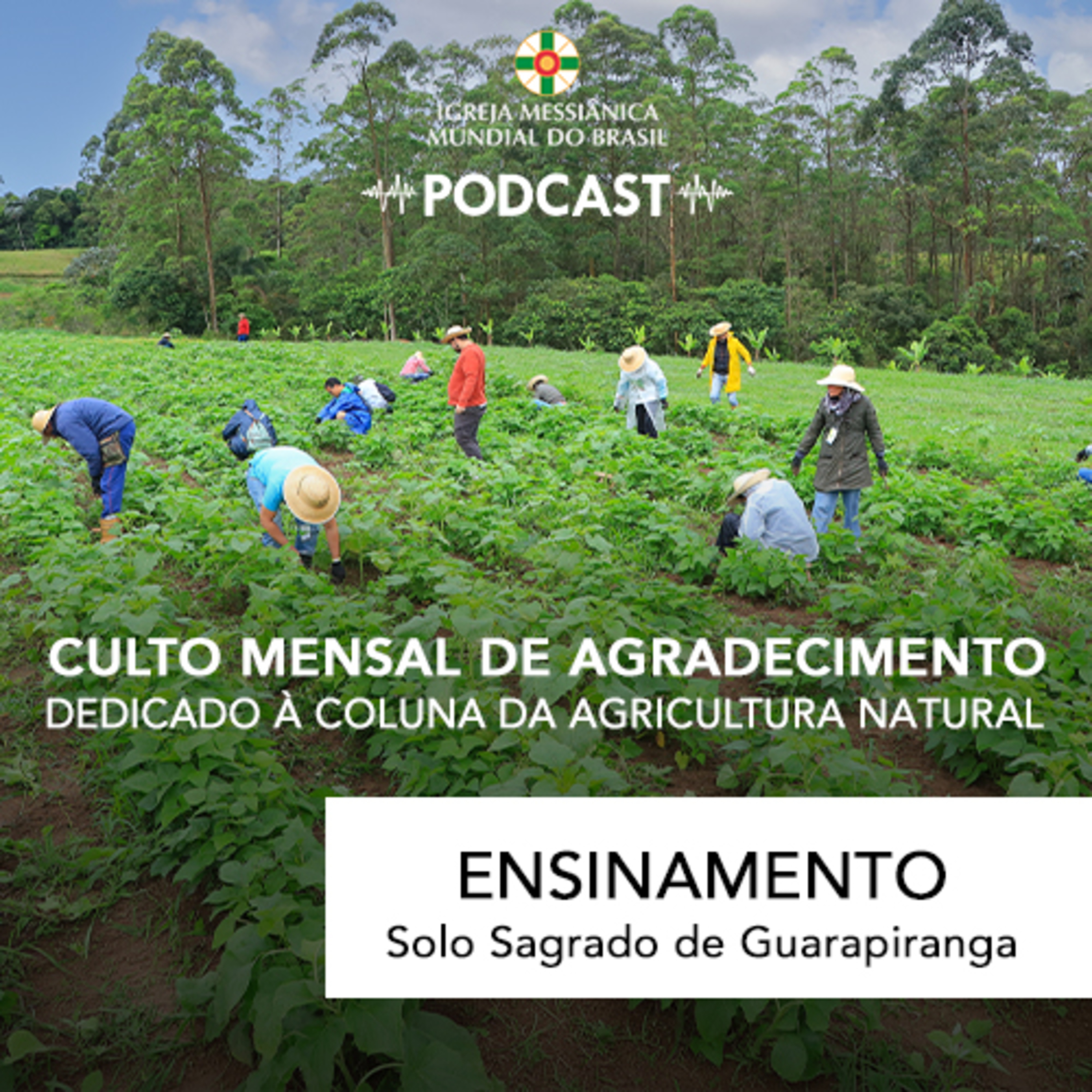 02/08/2026 - Ensinamento (Culto Mensal de Agradecimento) | Solo Sagrado de Guarapiranga episode artwork