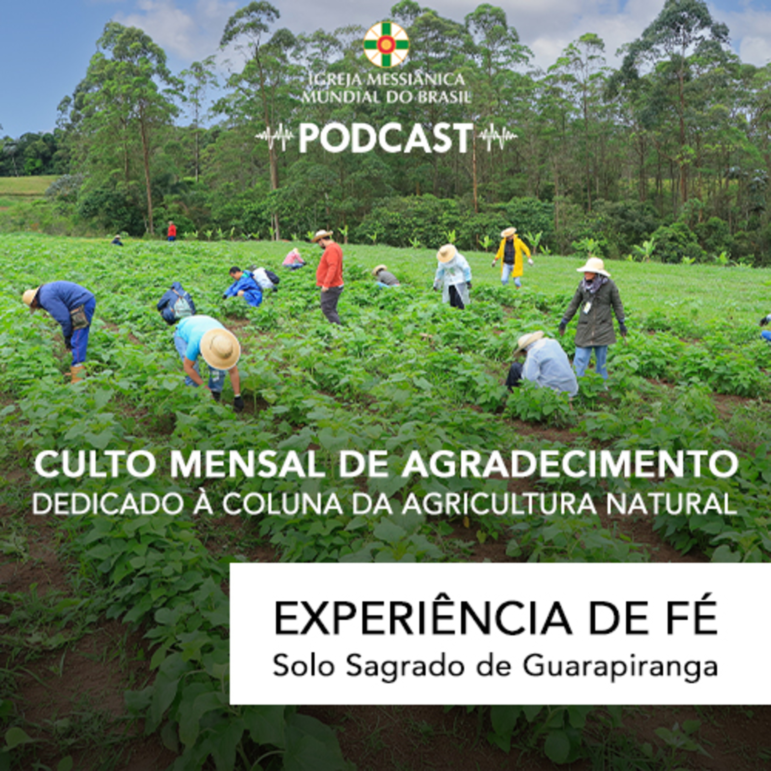 02/08/2026 - Experiência de Fé (Culto Mensal de Agradecimento ) | Solo Sagrado de Guarapiranga episode artwork
