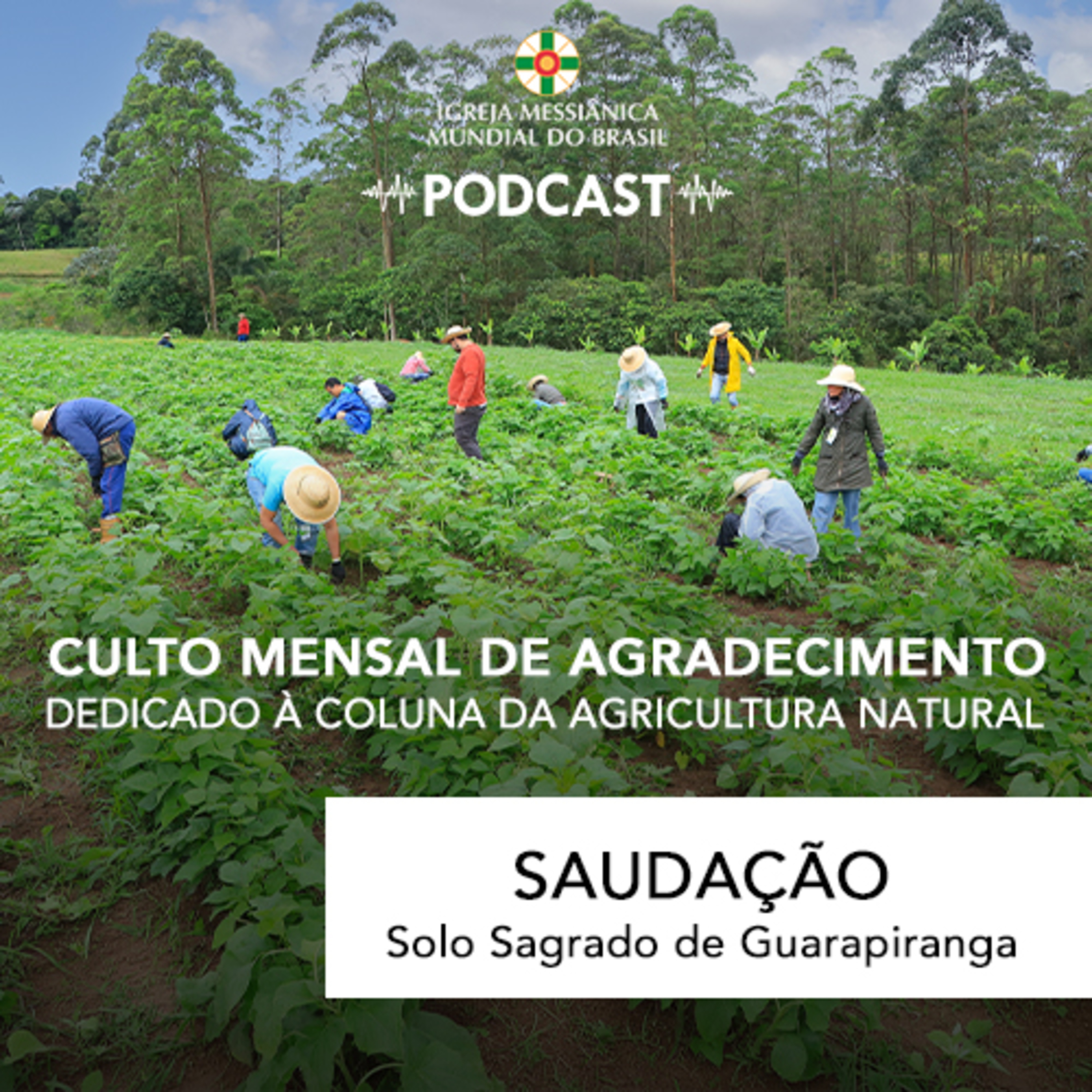 02/08/2026 - Saudação (Culto Mensal de Agradecimento) | Solo Sagrado de Guarapiranga episode artwork