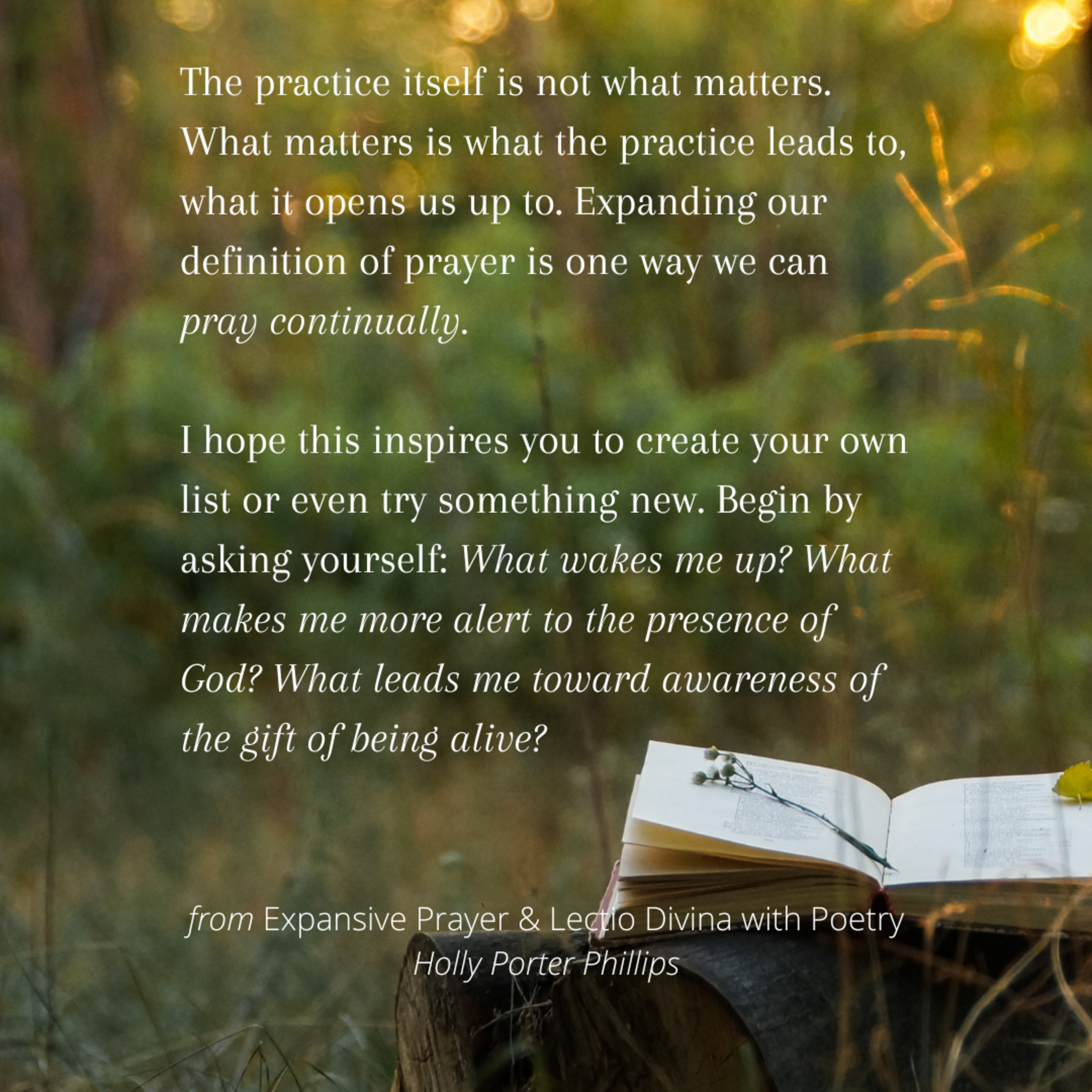 Vita Poetica Journal