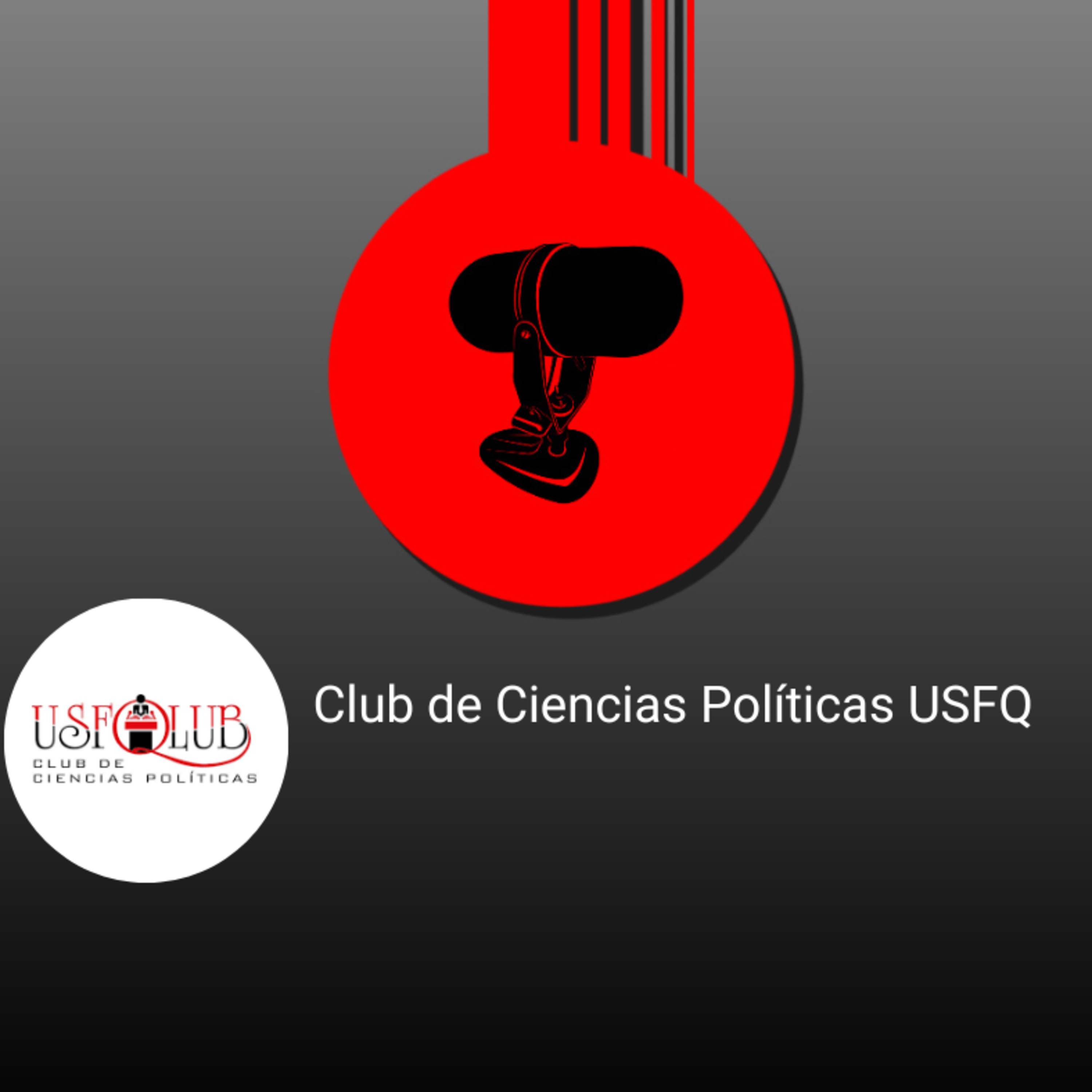 Porte de armas en Ecuador: ¿Qué opinan los expertos? episode artwork