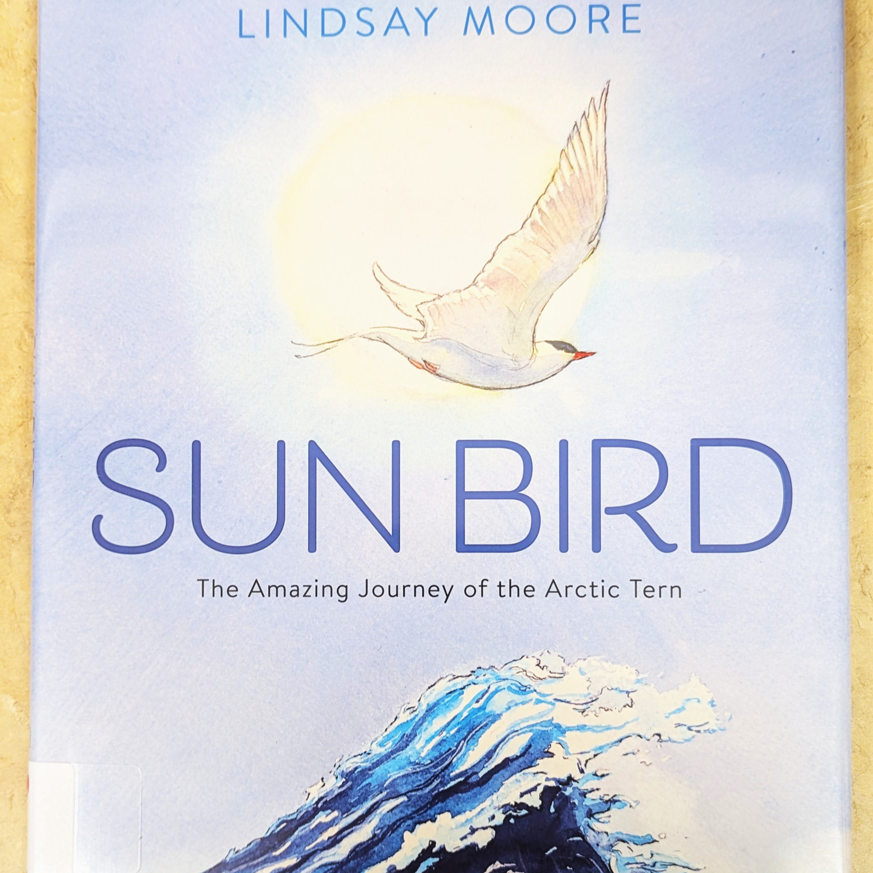 Sun Bird | Kids Read Along episode artwork
