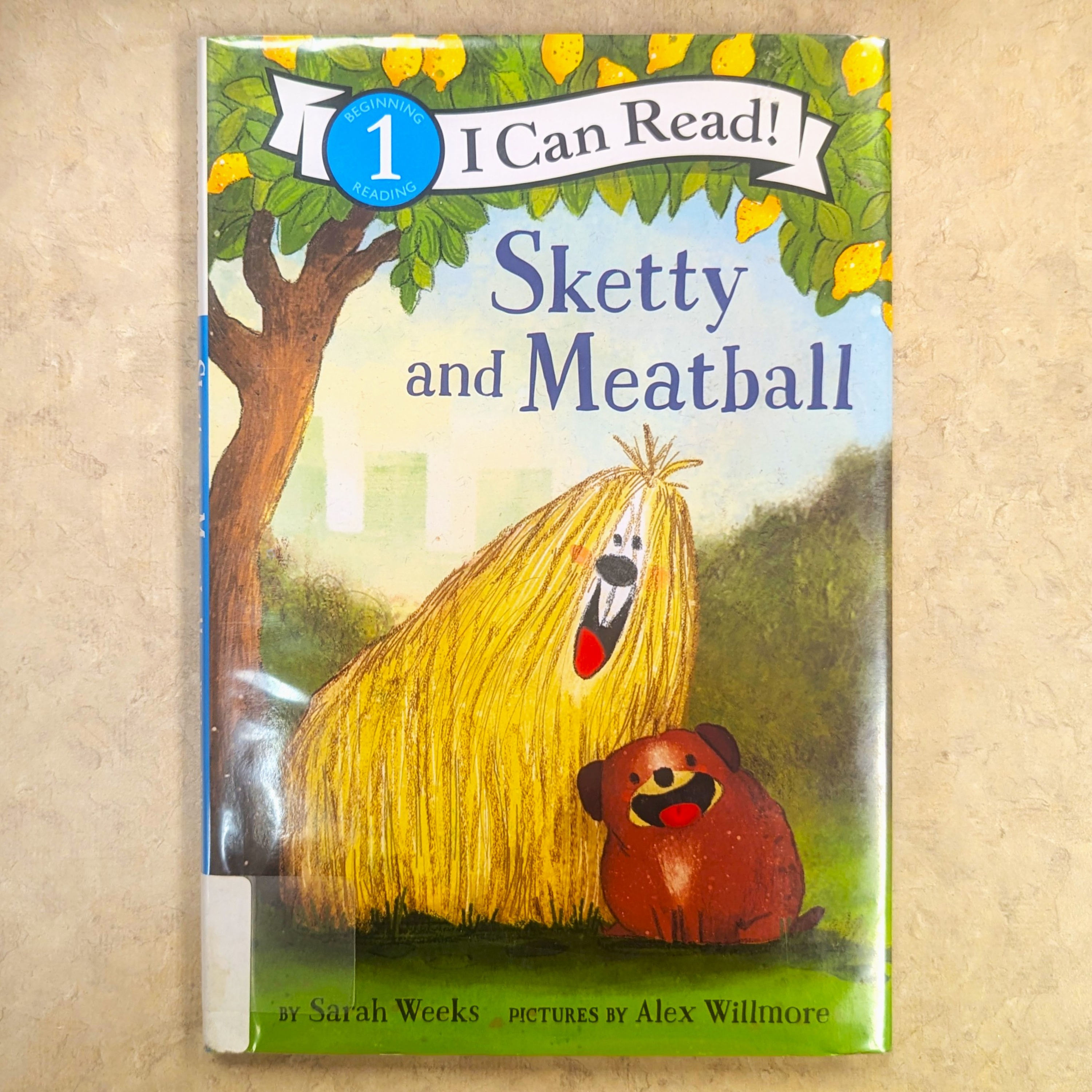 Sketty and Meatball | Kids Read Along episode artwork