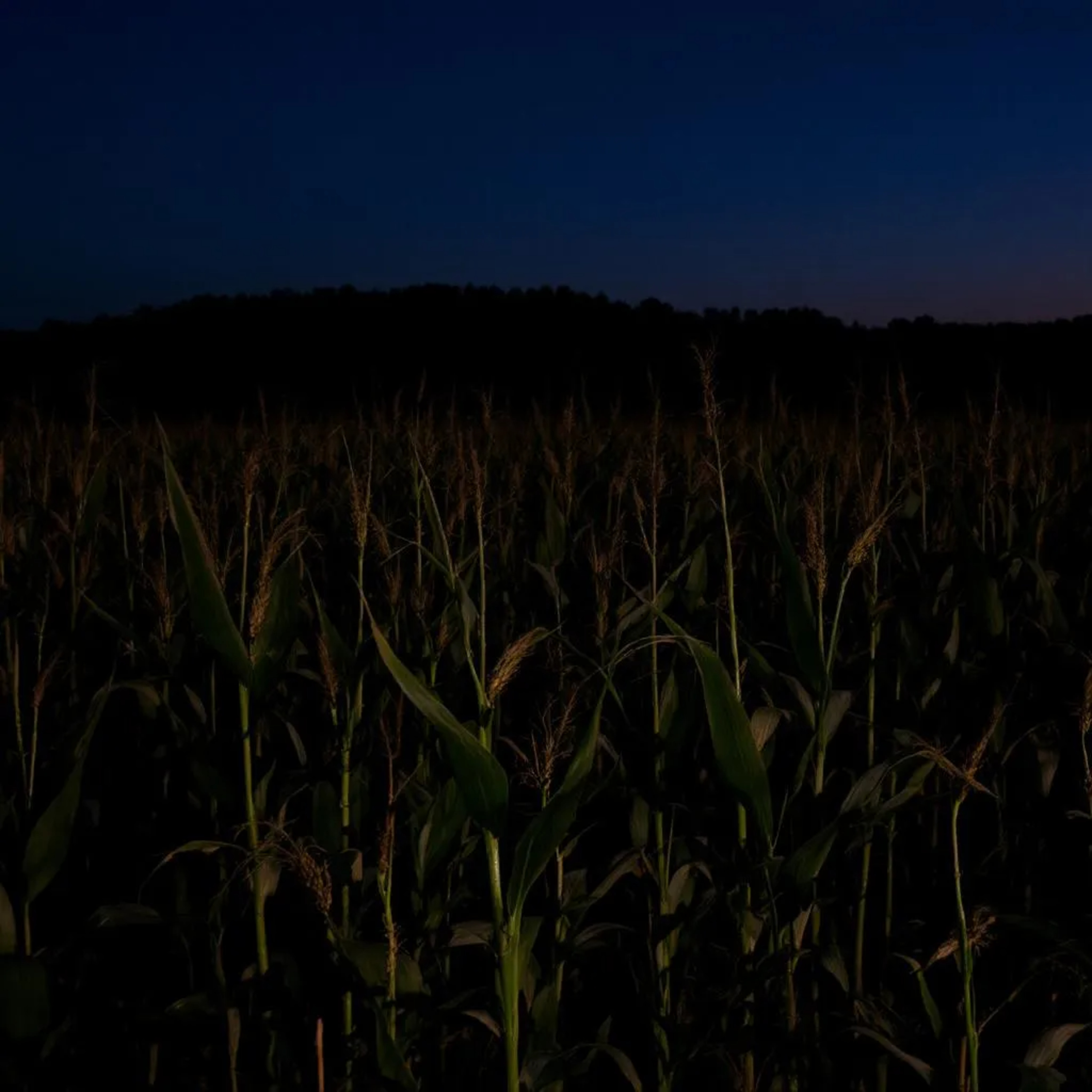 Horror Short Story: PREDICTING THE UNKNOWN