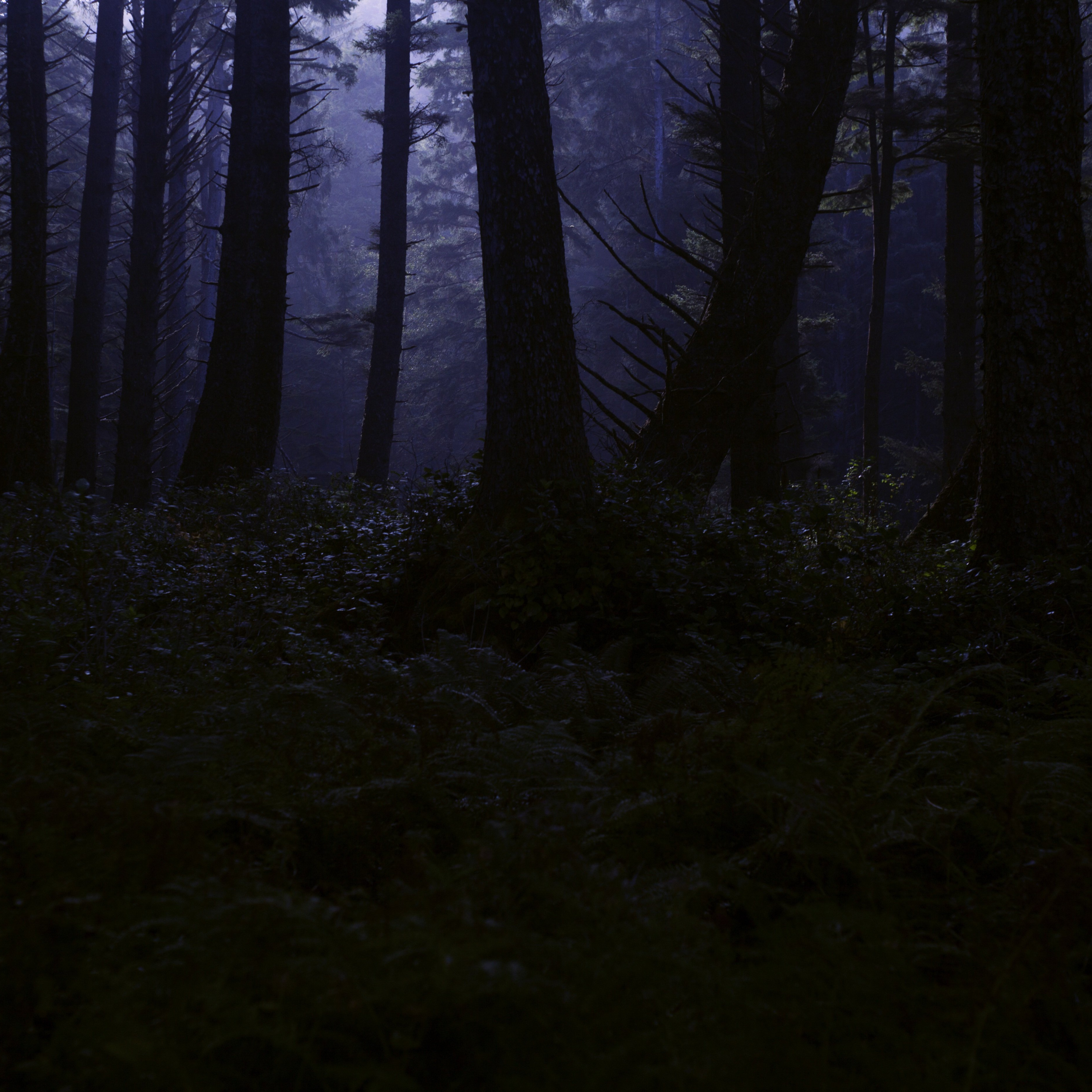 Horror Short Story: THE LABYRINTH