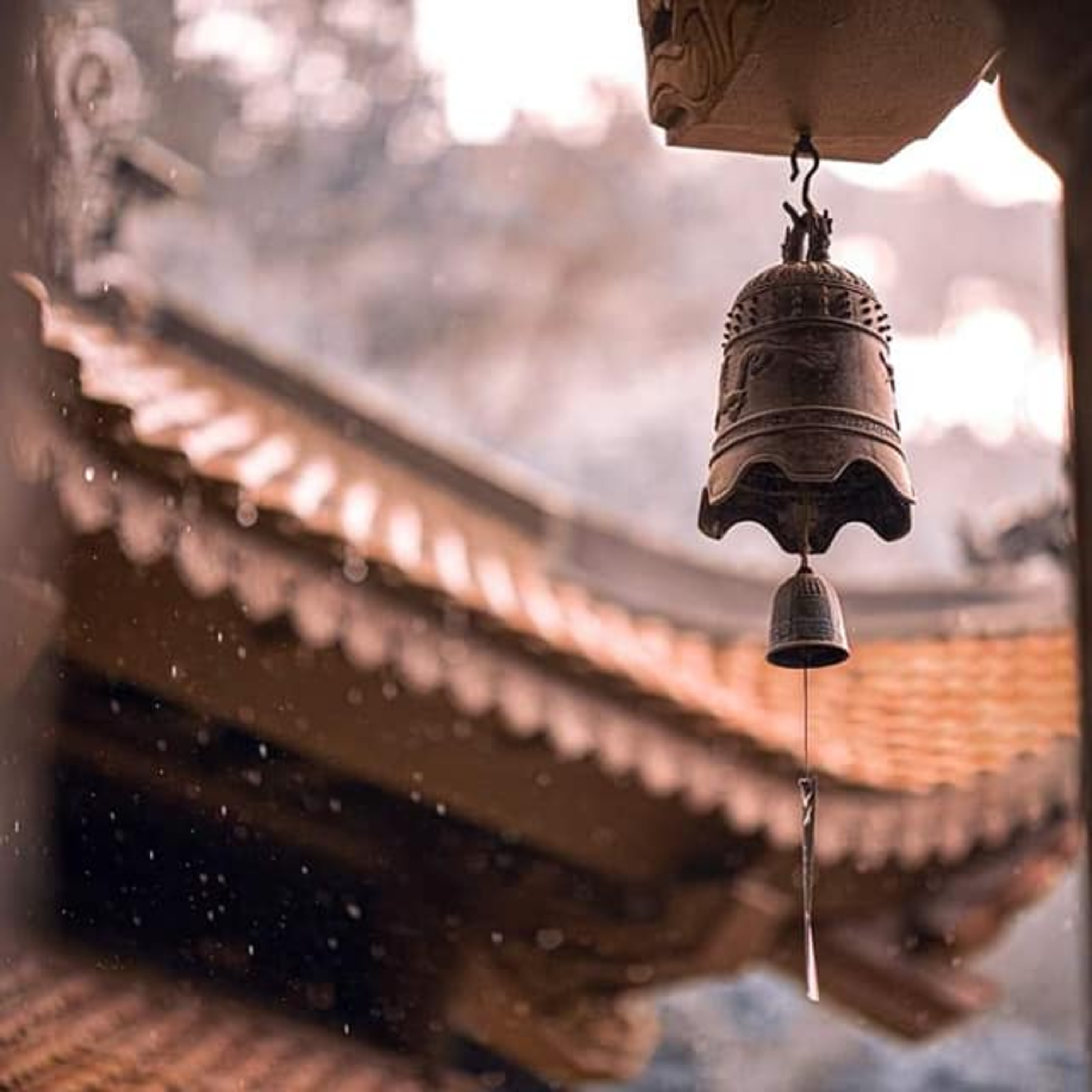 #02 Cuộc sống nhìn từ Ô cửa thiền I Quay trở về Chùa - Thấu hiểu và Yêu thương