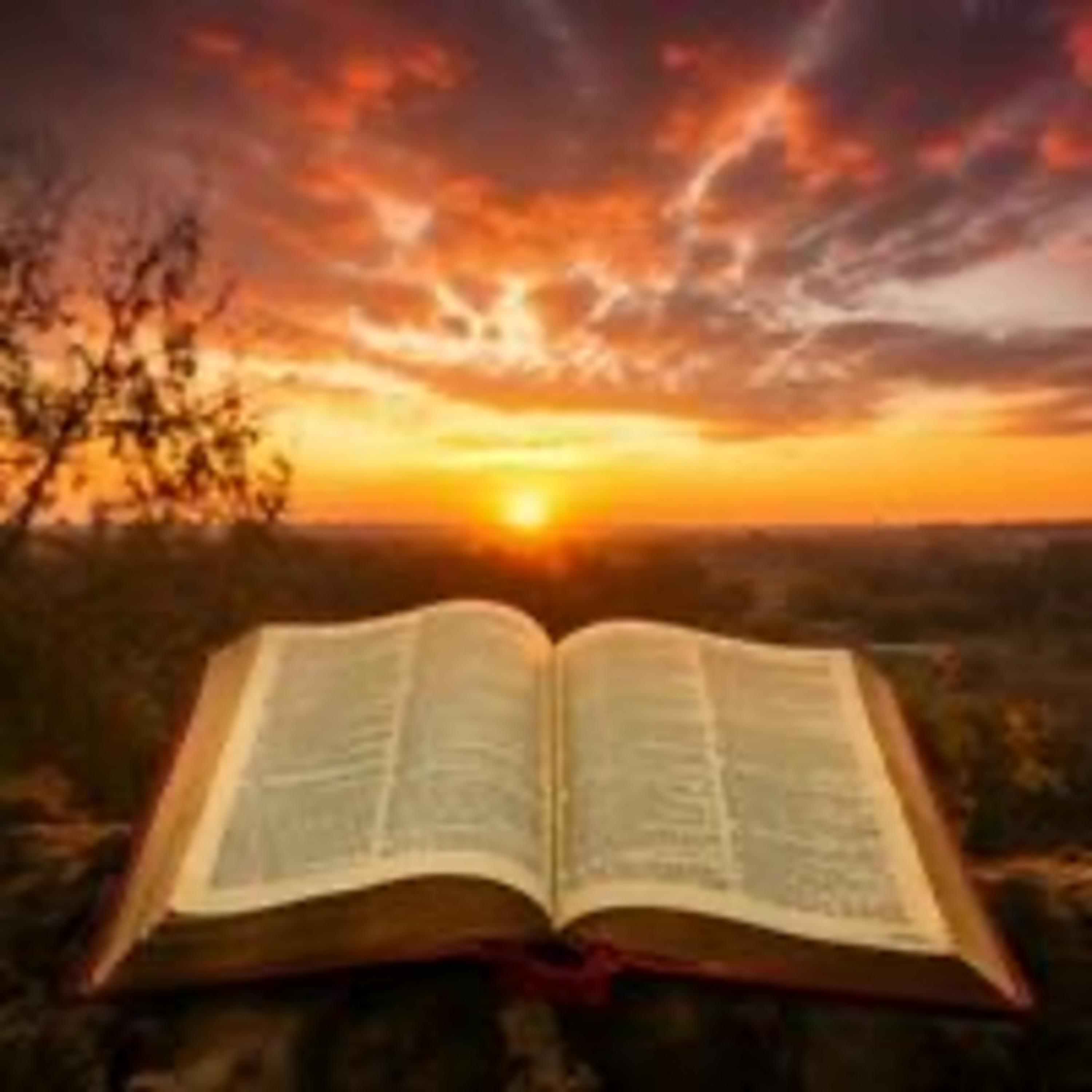 Jesus, Heart, Water, Blood, Sour Wine, Best Wine, Word of God Revelations episode artwork