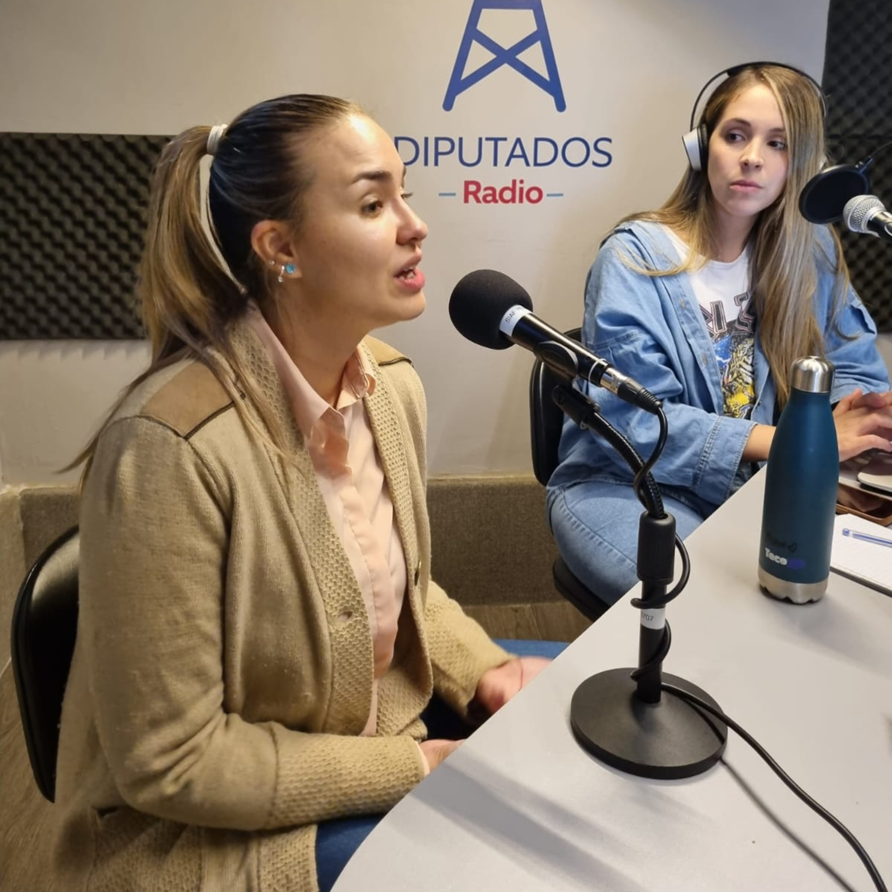Radio Diputados