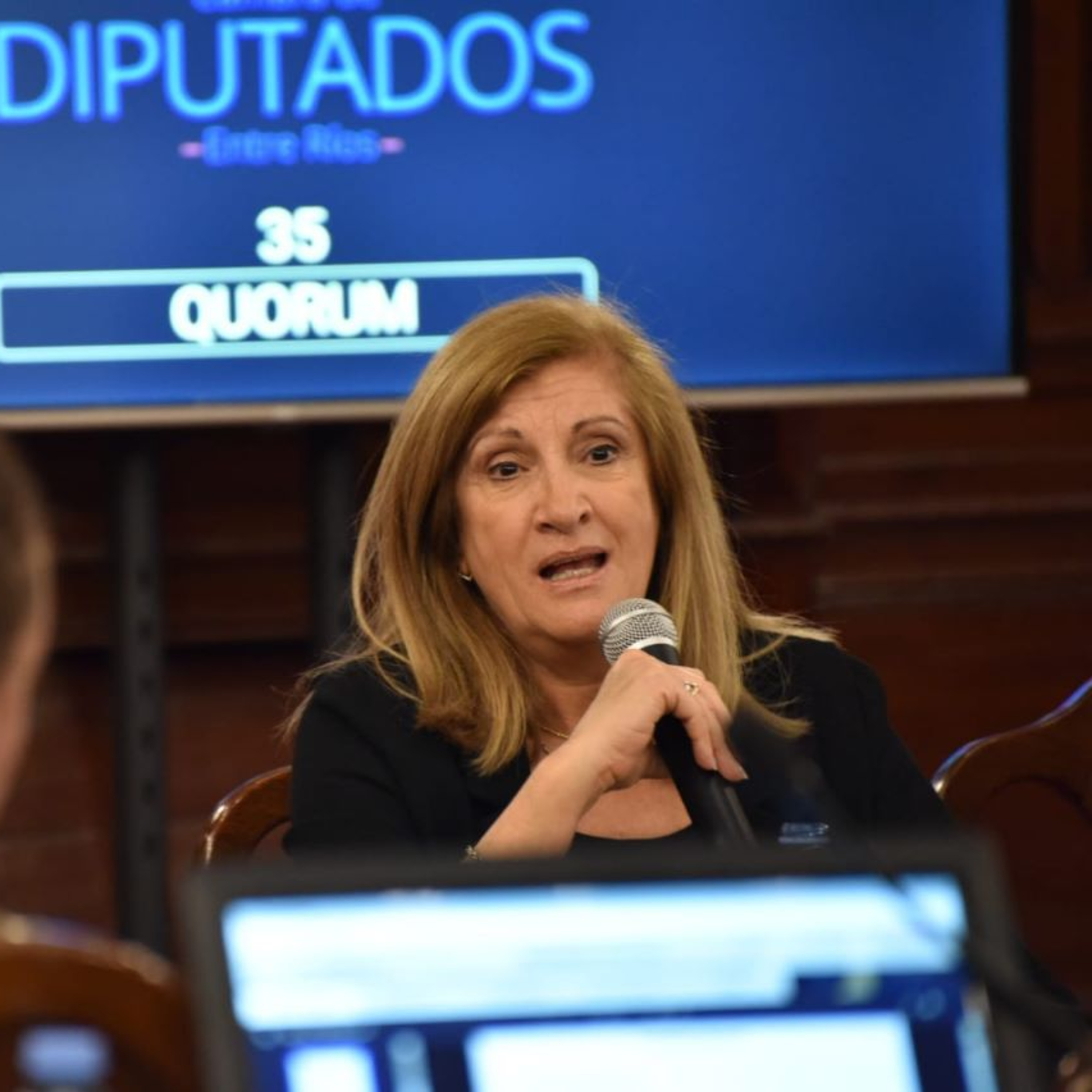 Radio Diputados
