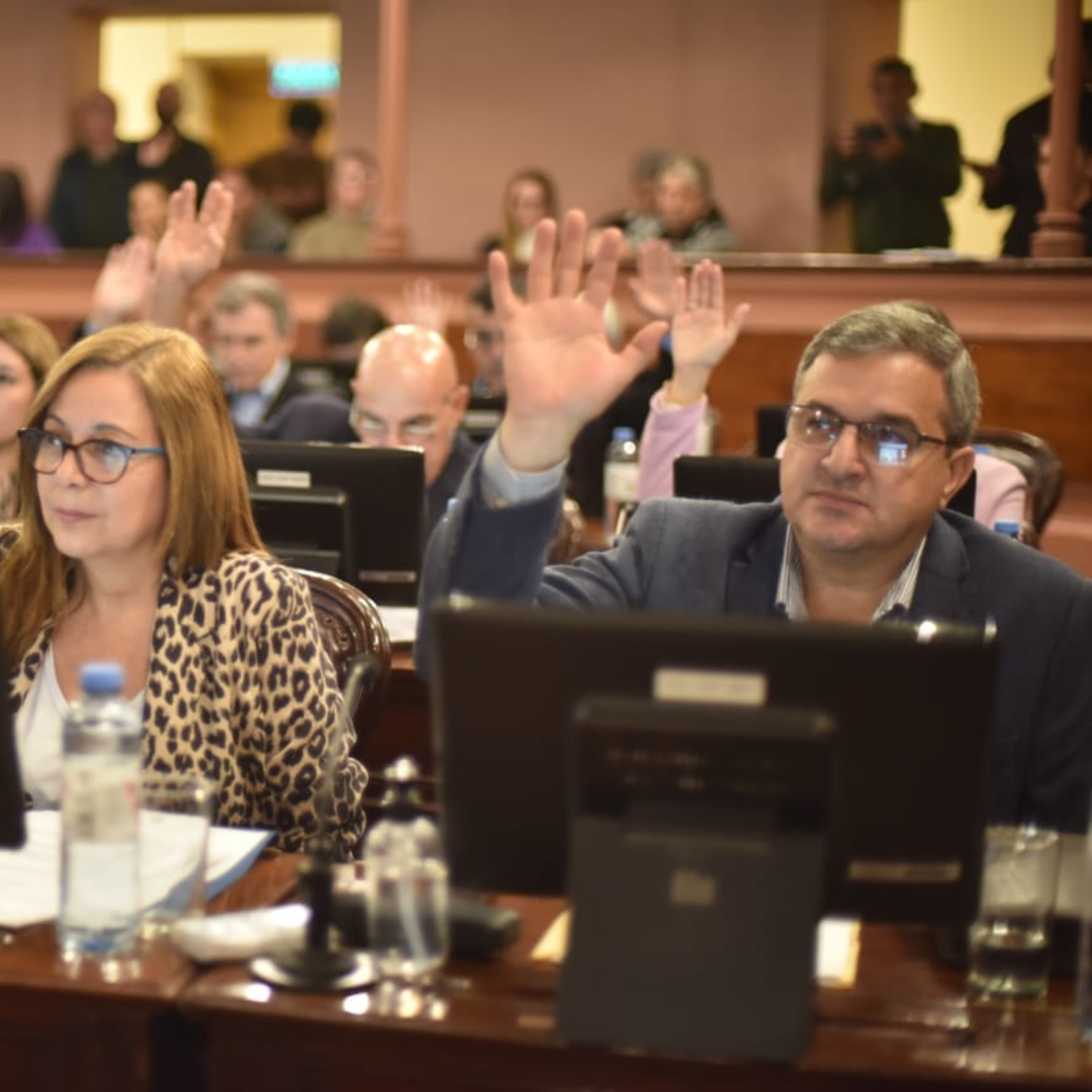 Portada de Radio Diputados
