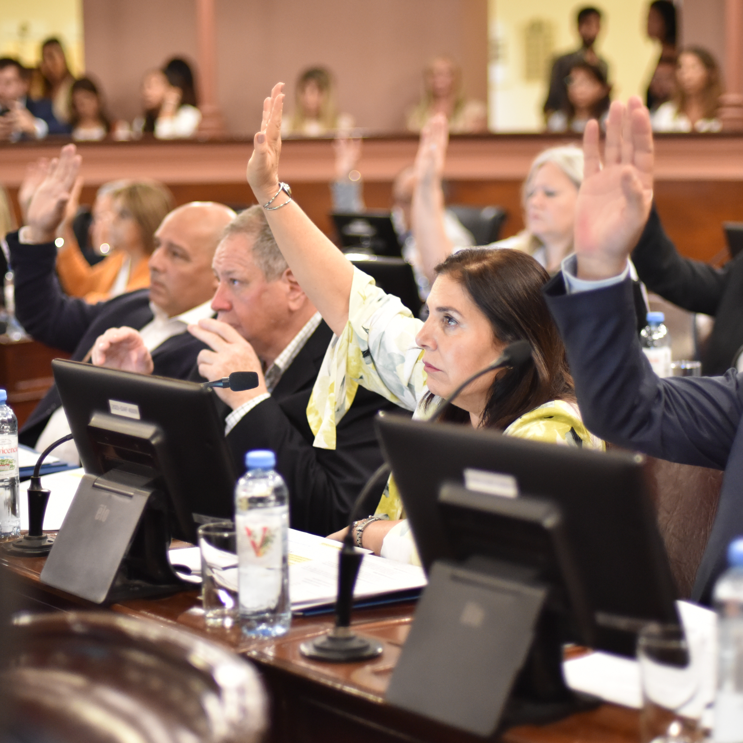 Radio Diputados