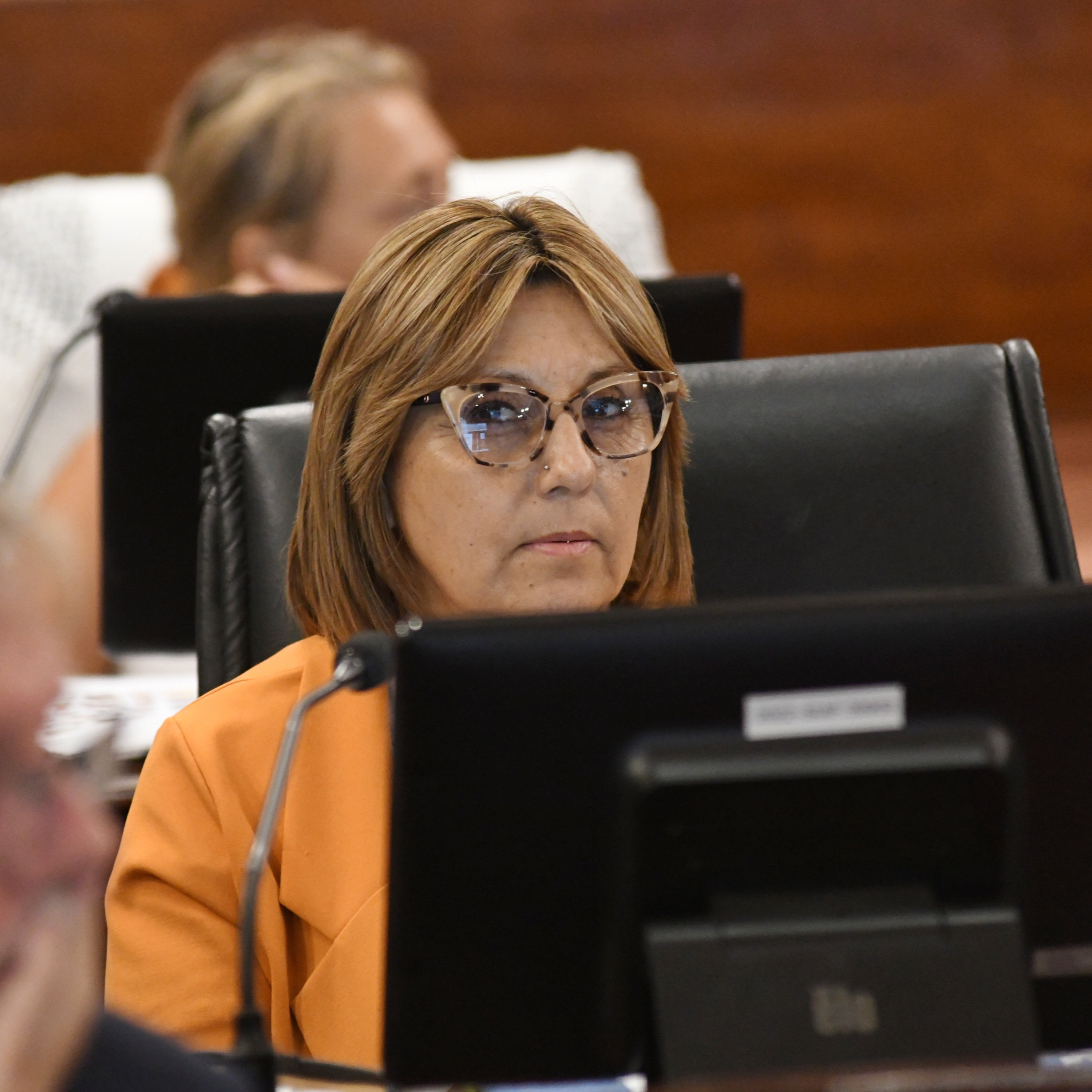 La diputada Salinas hizo propuestas para frenar los delitos rurales episode artwork