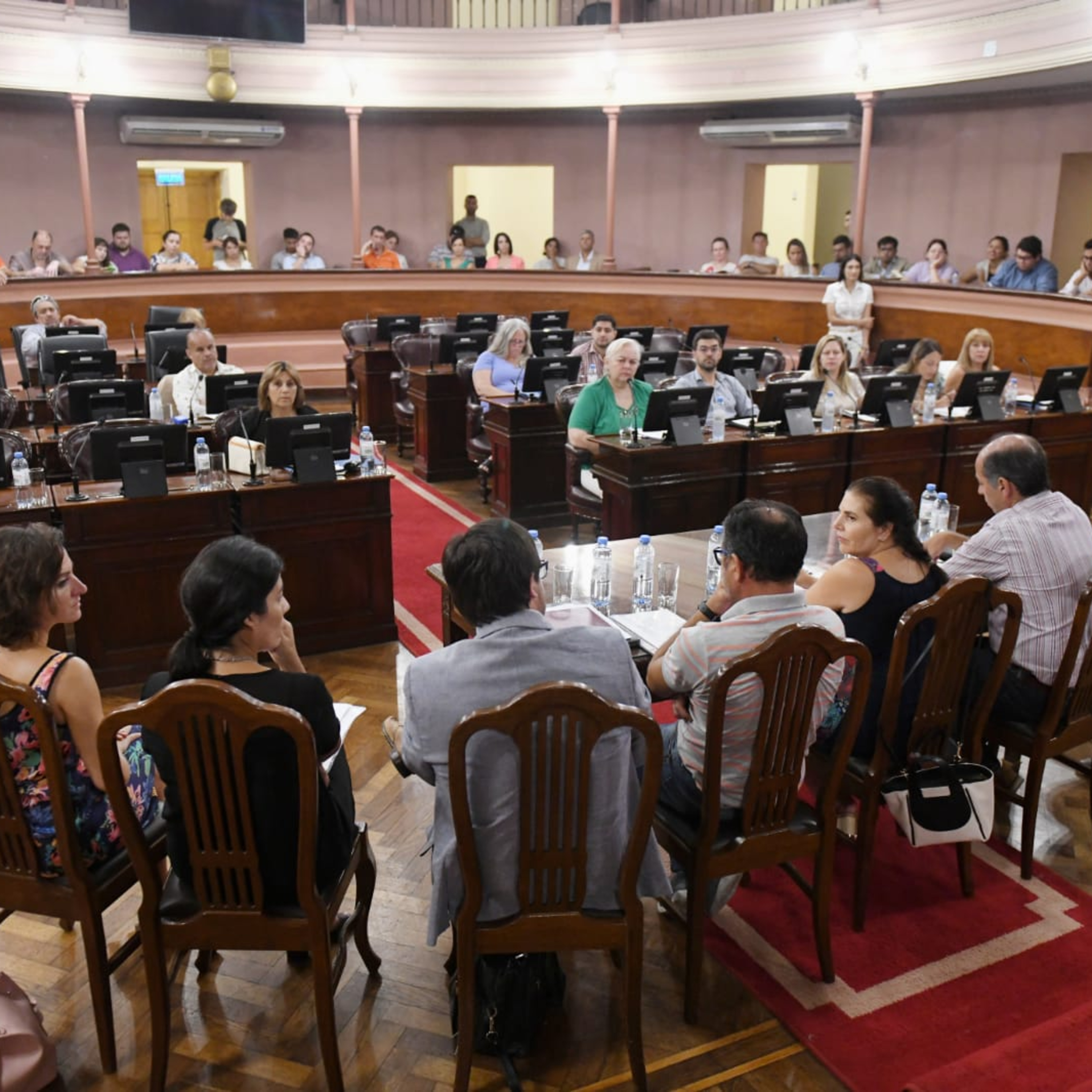 Radio Diputados