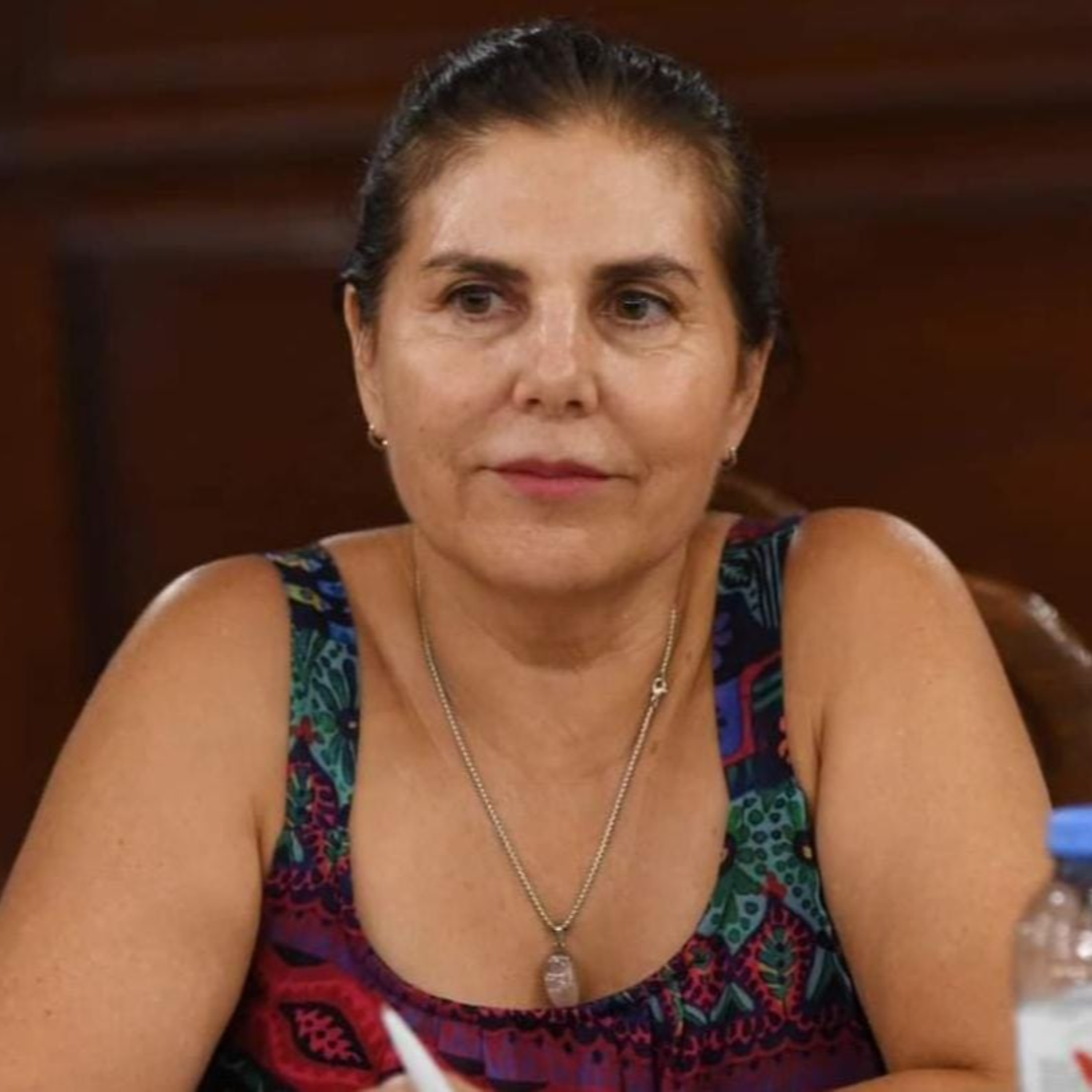 Gabriela Lena: “Era necesario mostrarle a los entrerrianos cómo se recibió la provincia” episode artwork