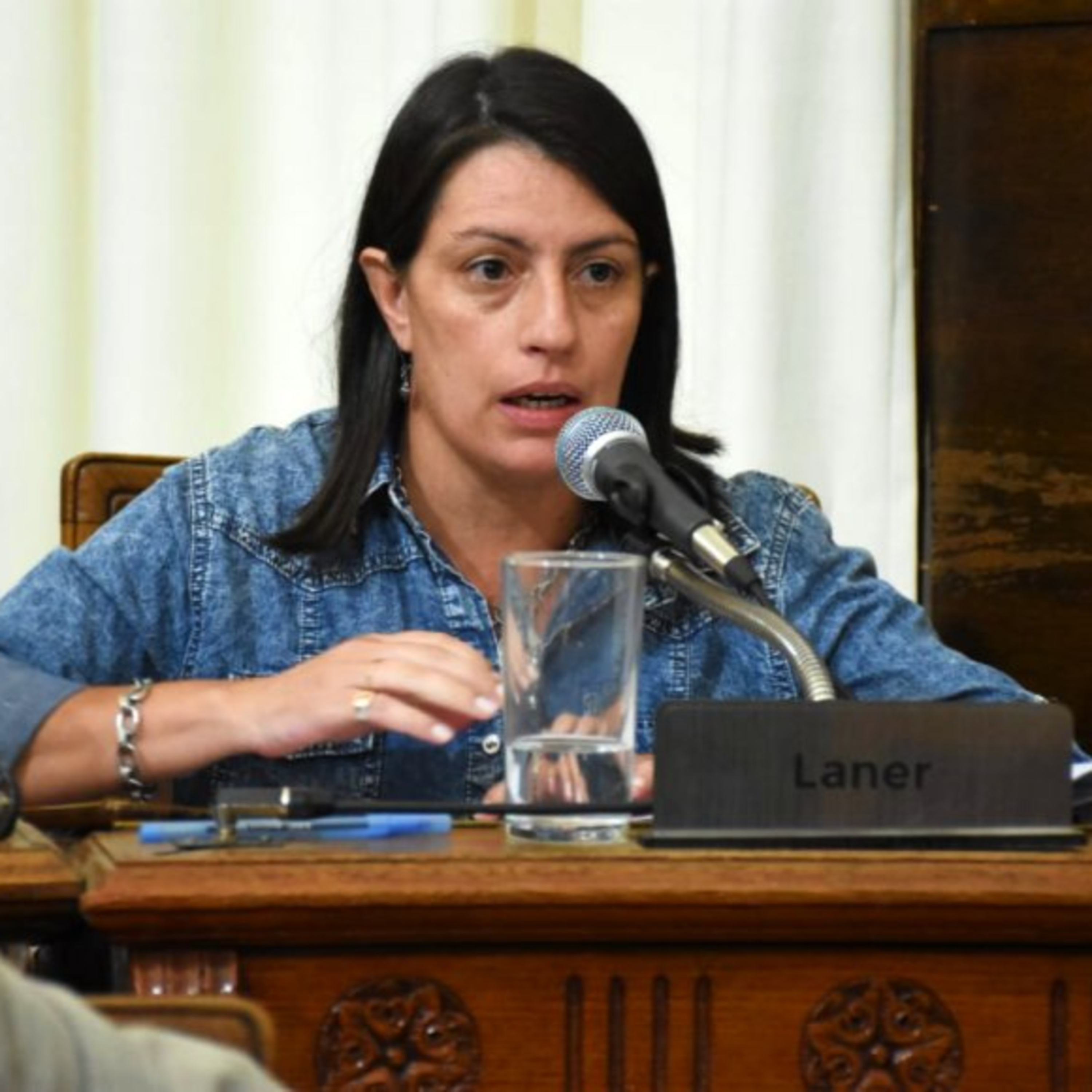 La diputada Laner destacó el trabajo del Banco de Alimentos episode artwork