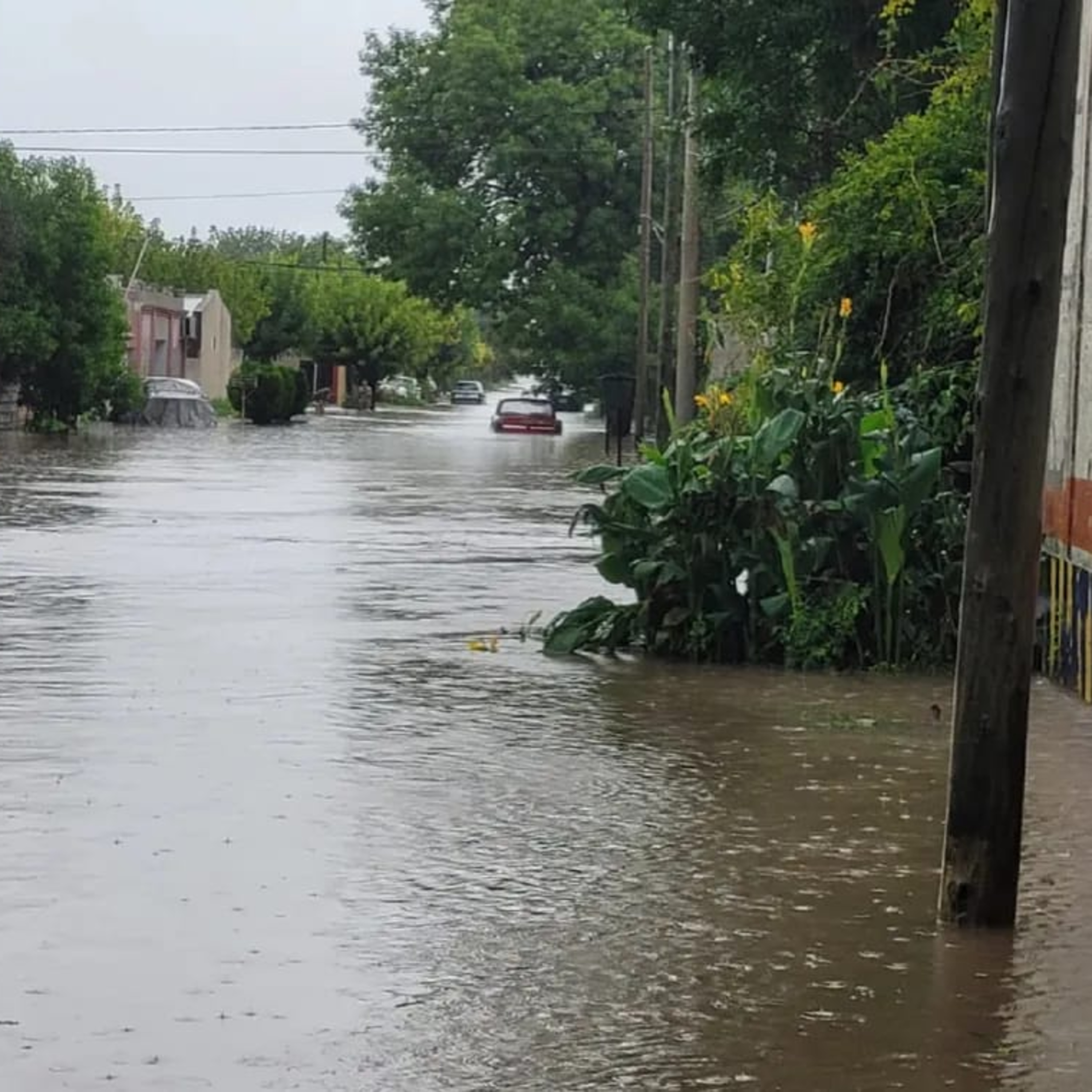Gualeguay y Tala son las ciudades más afectadas por las tormentas episode artwork