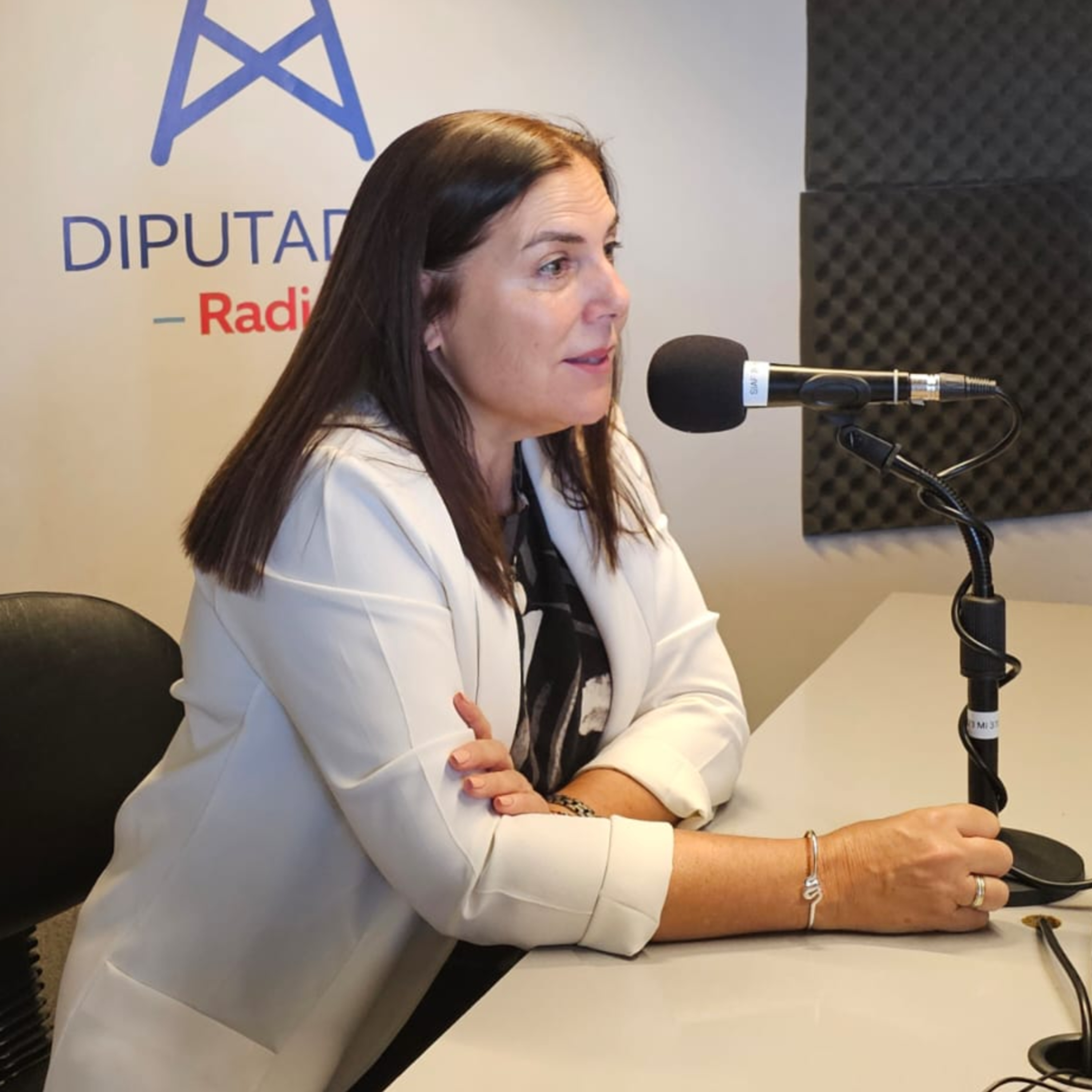 La diputada Lena recordó la persecución a su familia durante la dictadura episode artwork