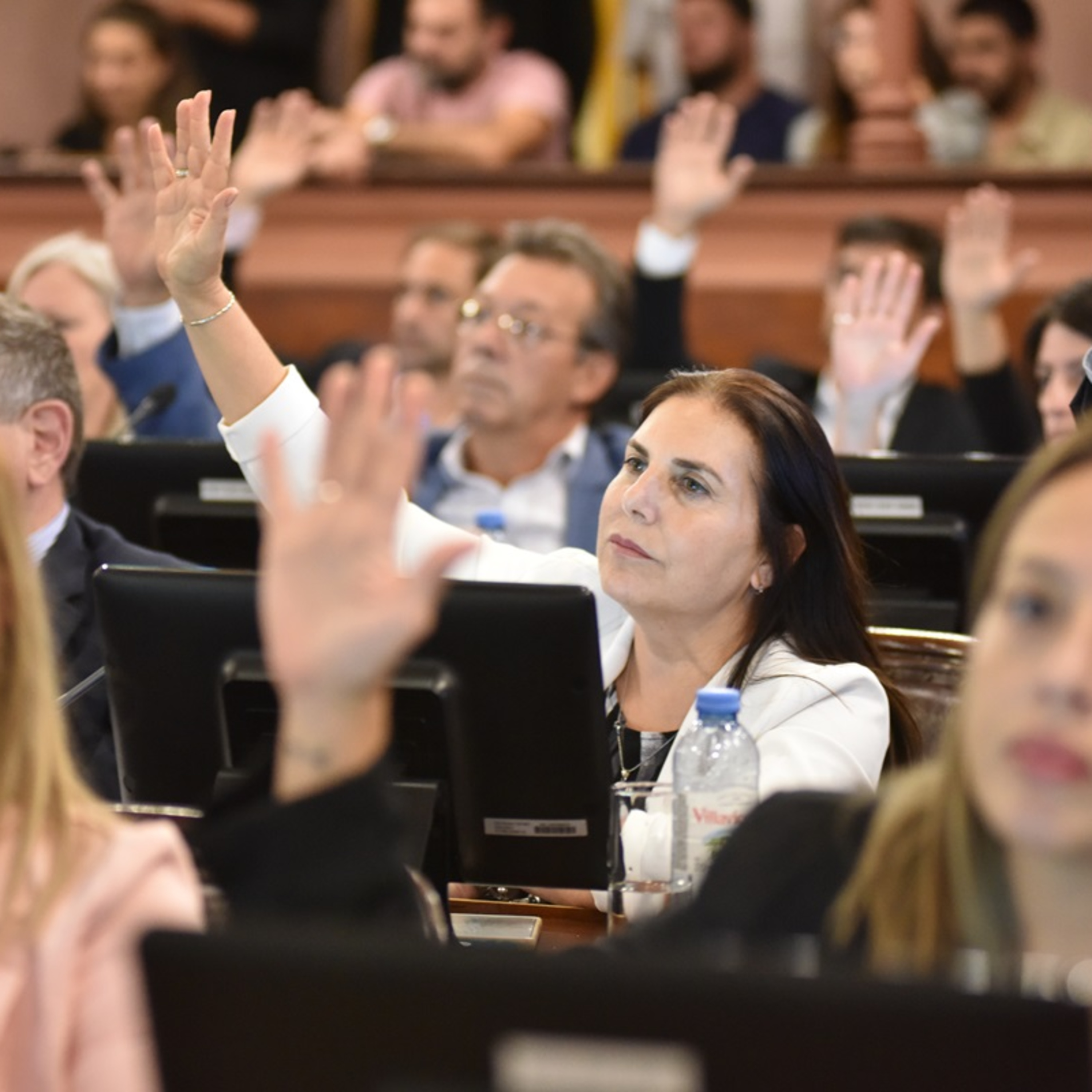 Radio Diputados