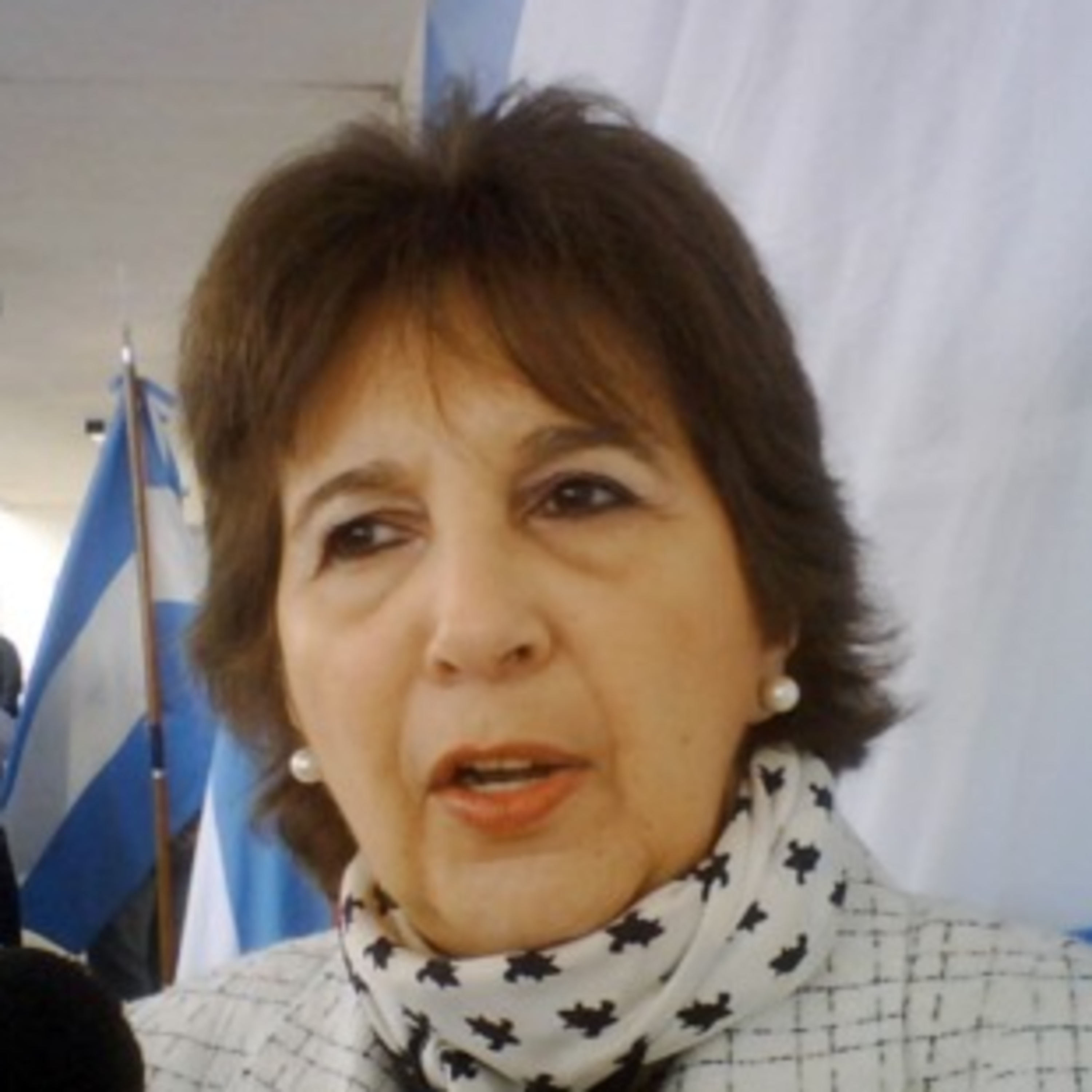 Radio Diputados