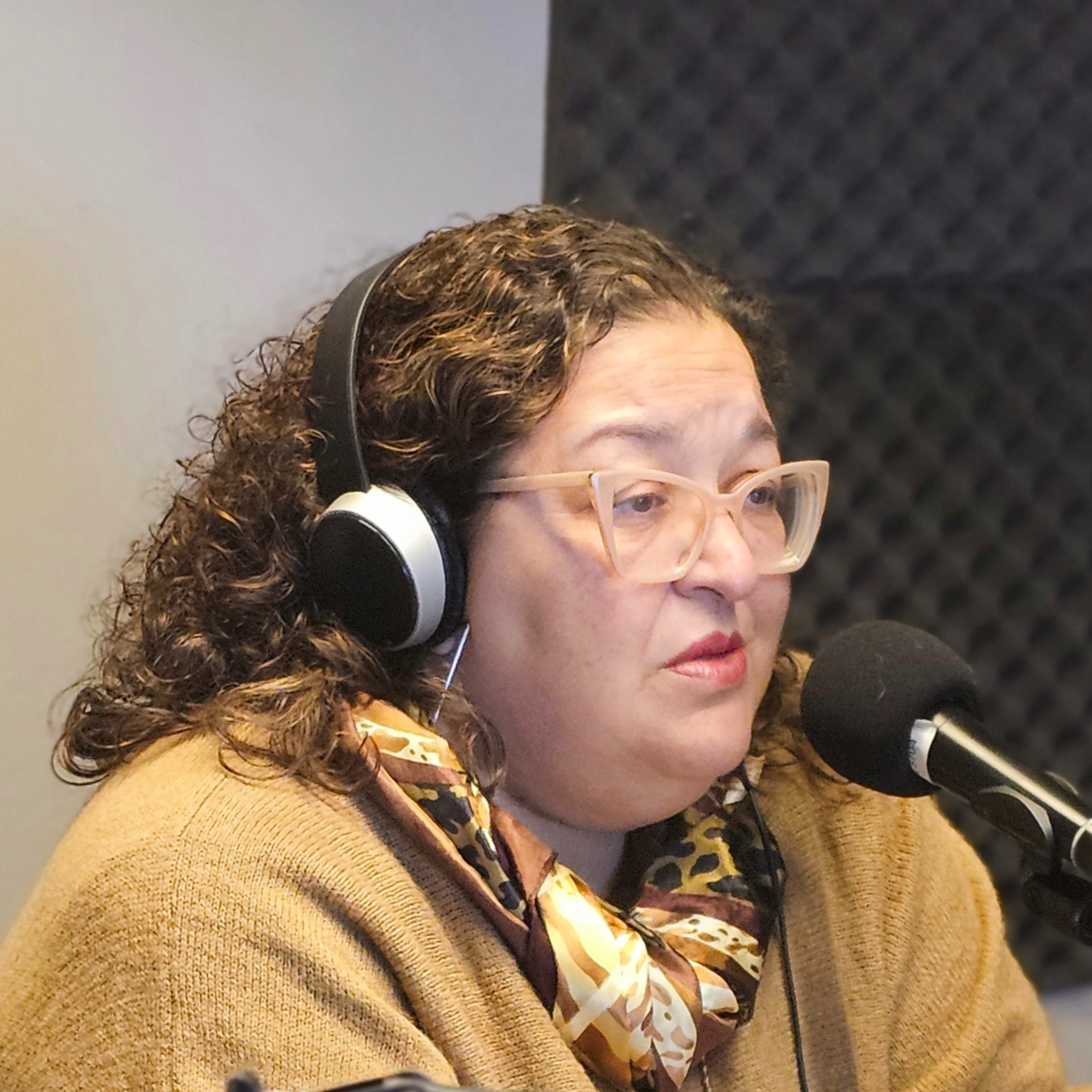 Radio Diputados
