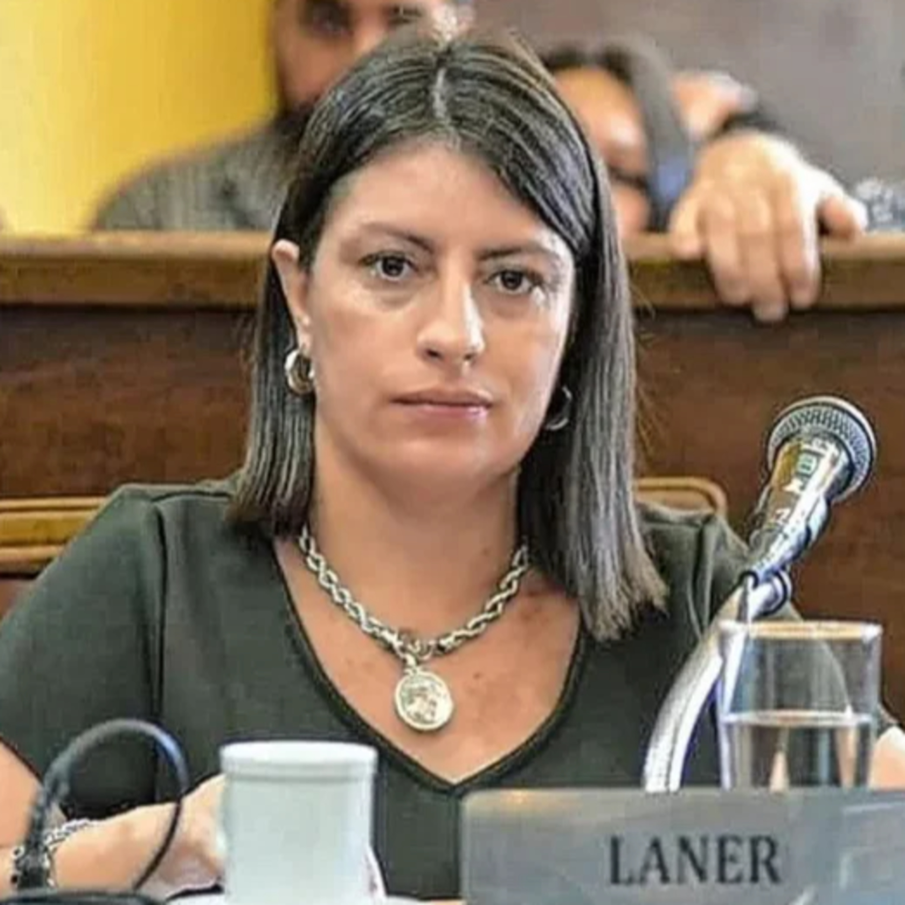 Proponen declarar de interés público a la palmera yatay episode artwork