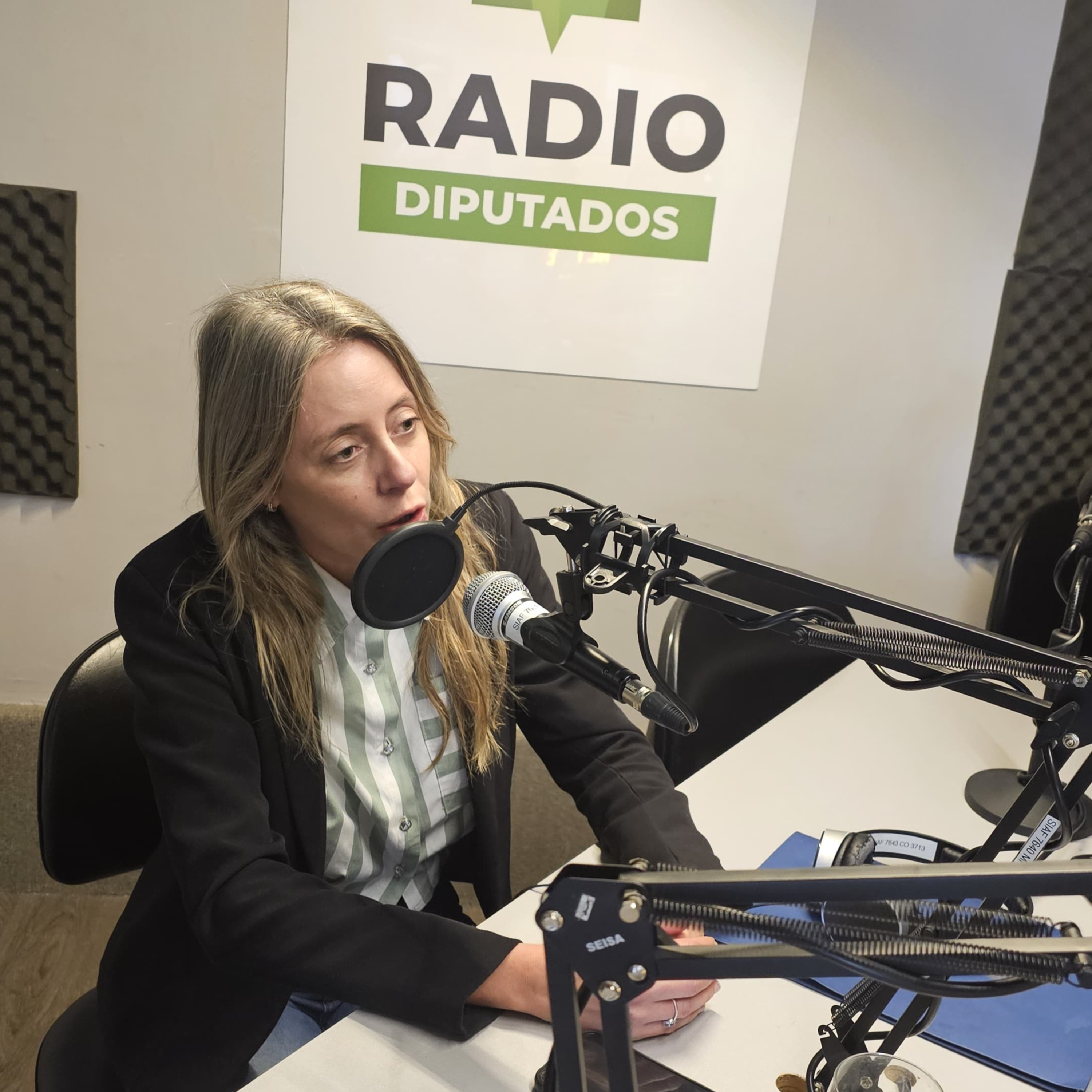 Comienza el debate en comisiones de la reforma electoral episode artwork