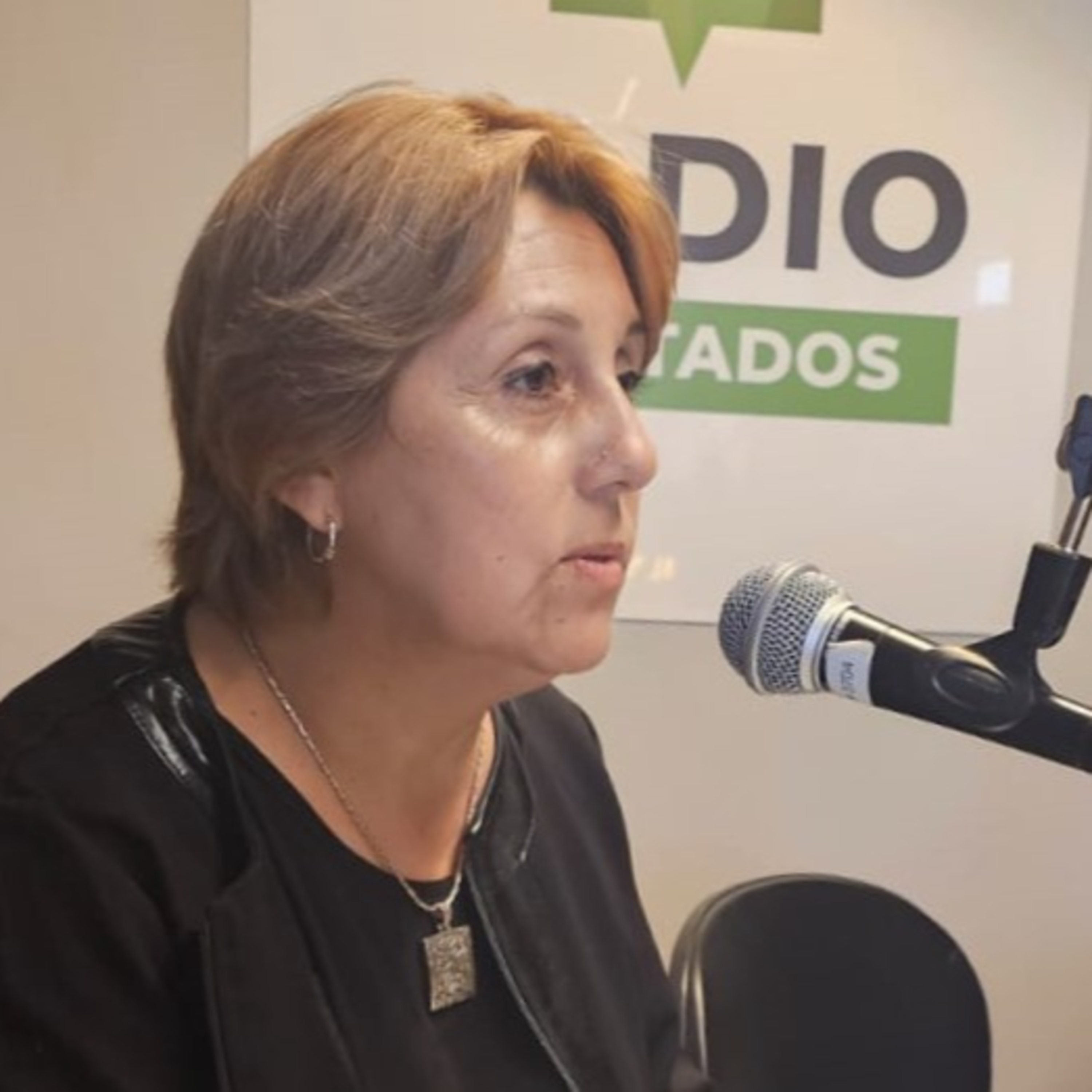 La diputada Salinas explicó su proyecto de índice salarial episode artwork