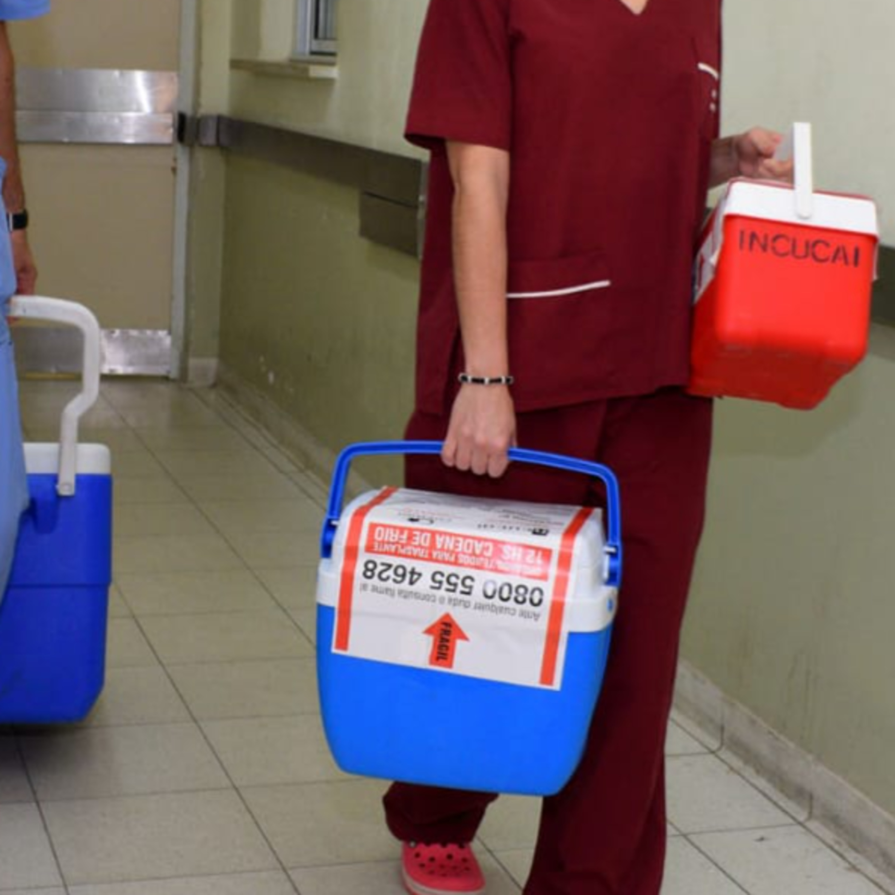 Nueva donación de órganos en Paraná beneficia a pacientes en lista de espera episode artwork