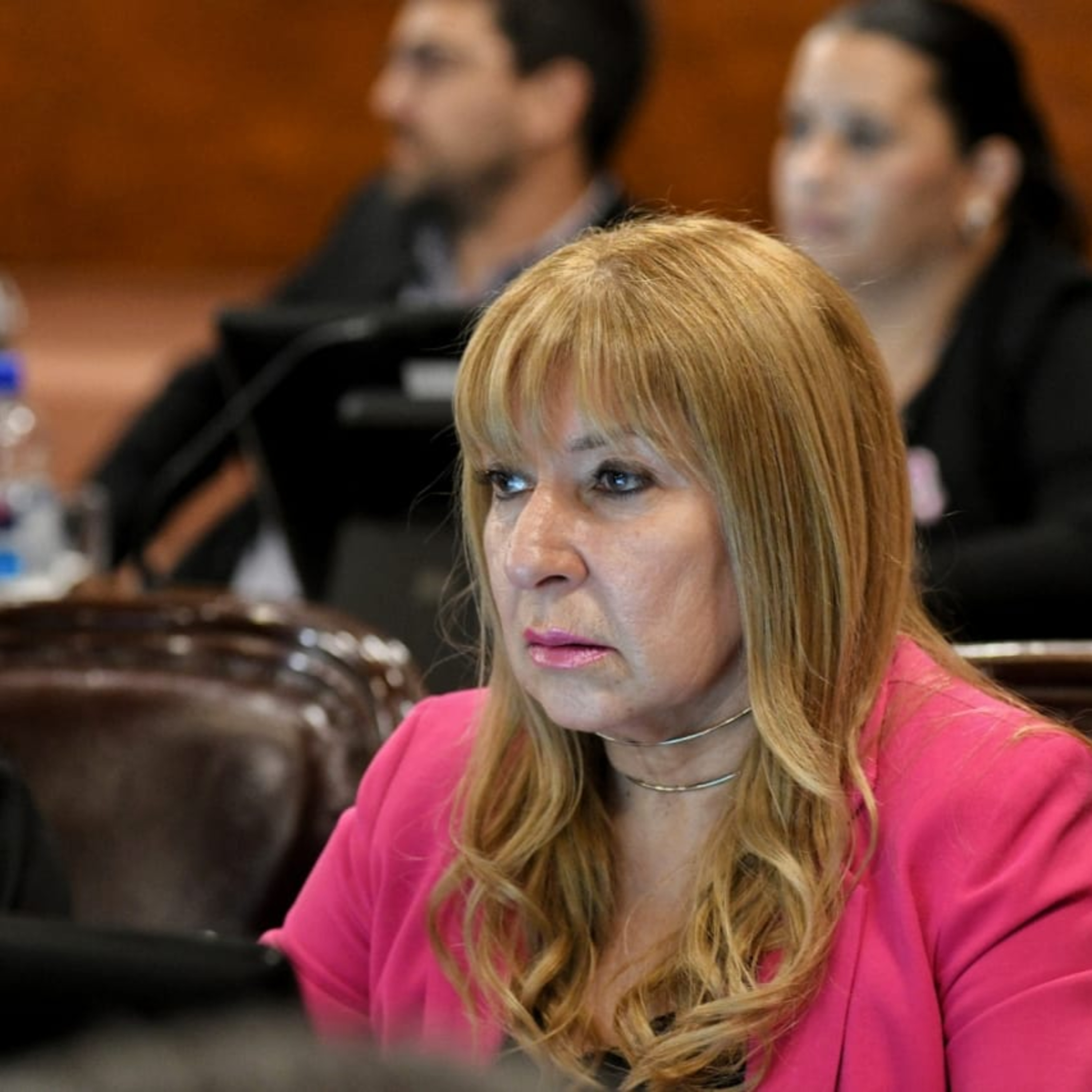 La diputada Romero informó sobre dos reconocimientos de su autoría episode artwork