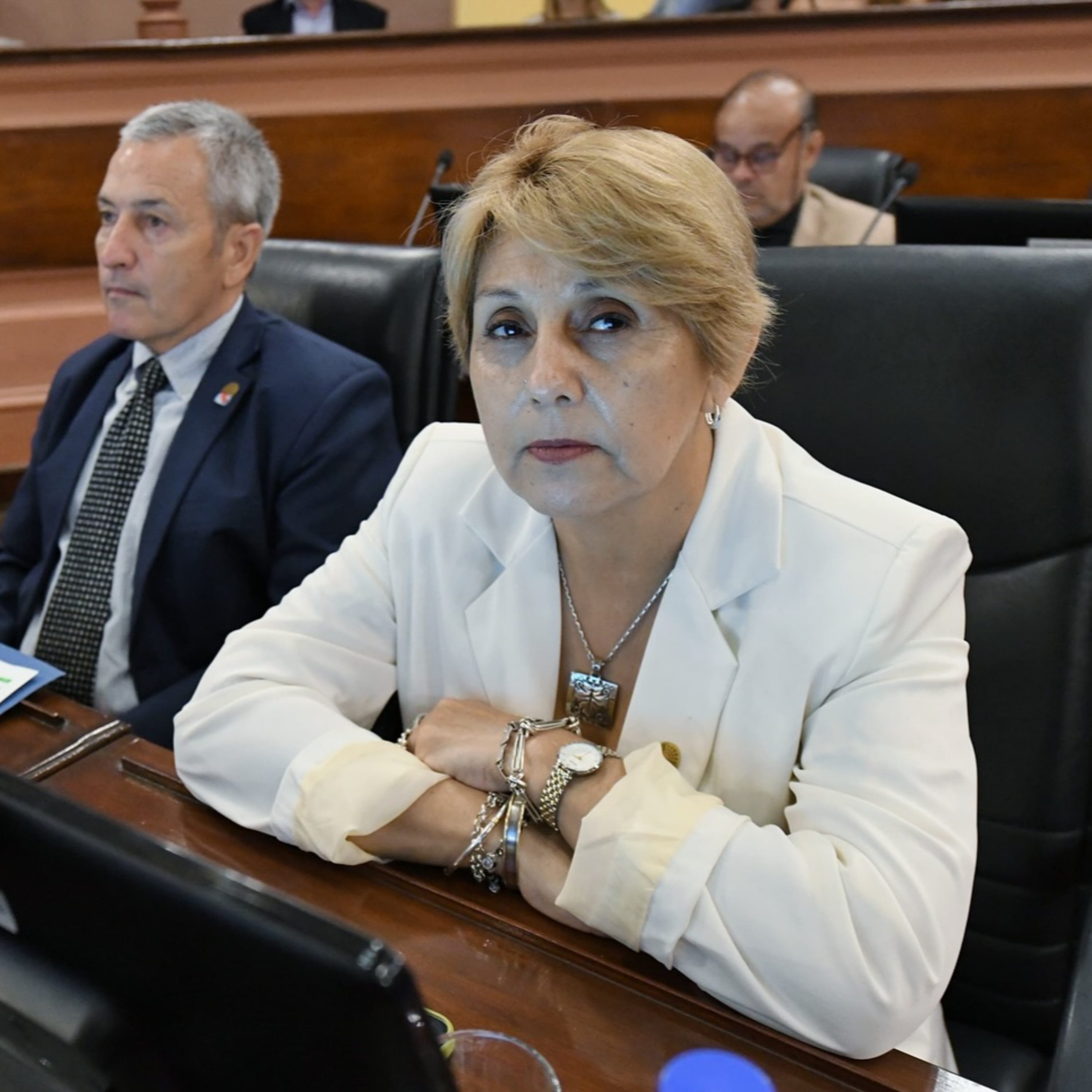 Salinas impulsa proyectos que apuntan a la inclusión de personas con discapacidad episode artwork