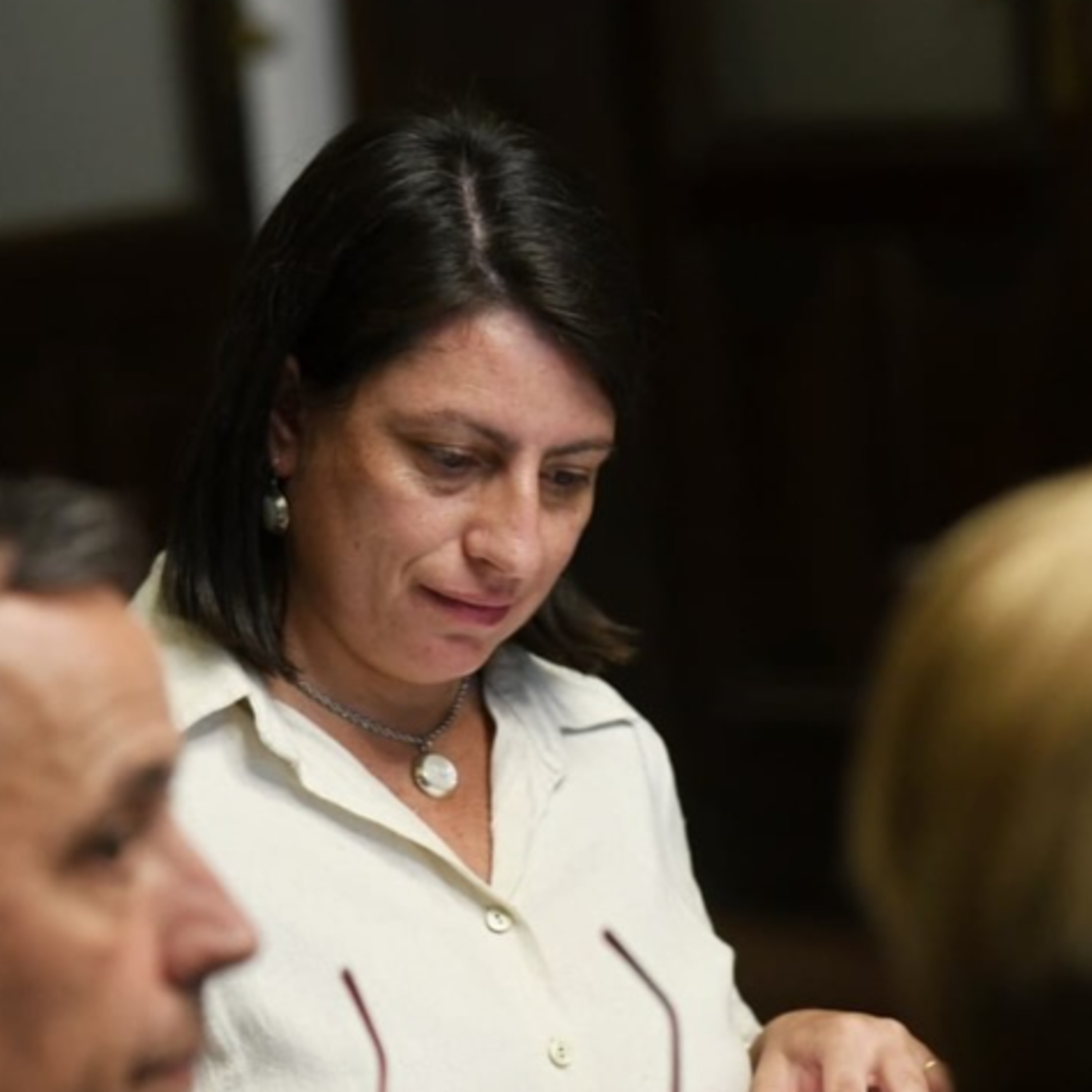 Laner habló del perfil de la Cámara de Diputados y los temas de la comisión de Seguridad episode artwork