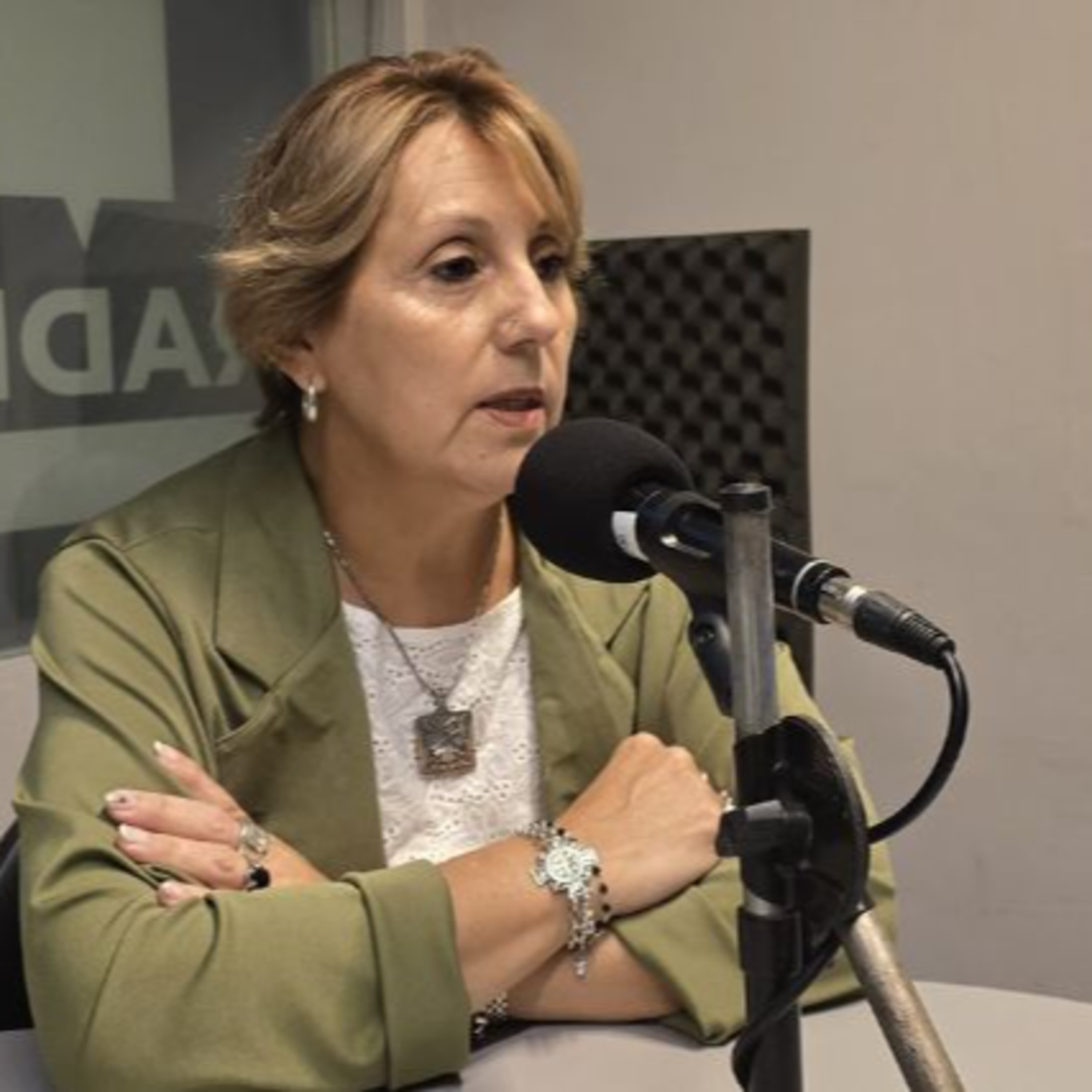 Autoridades locales del Mercosur y empresarios se reúnen en Paraná episode artwork