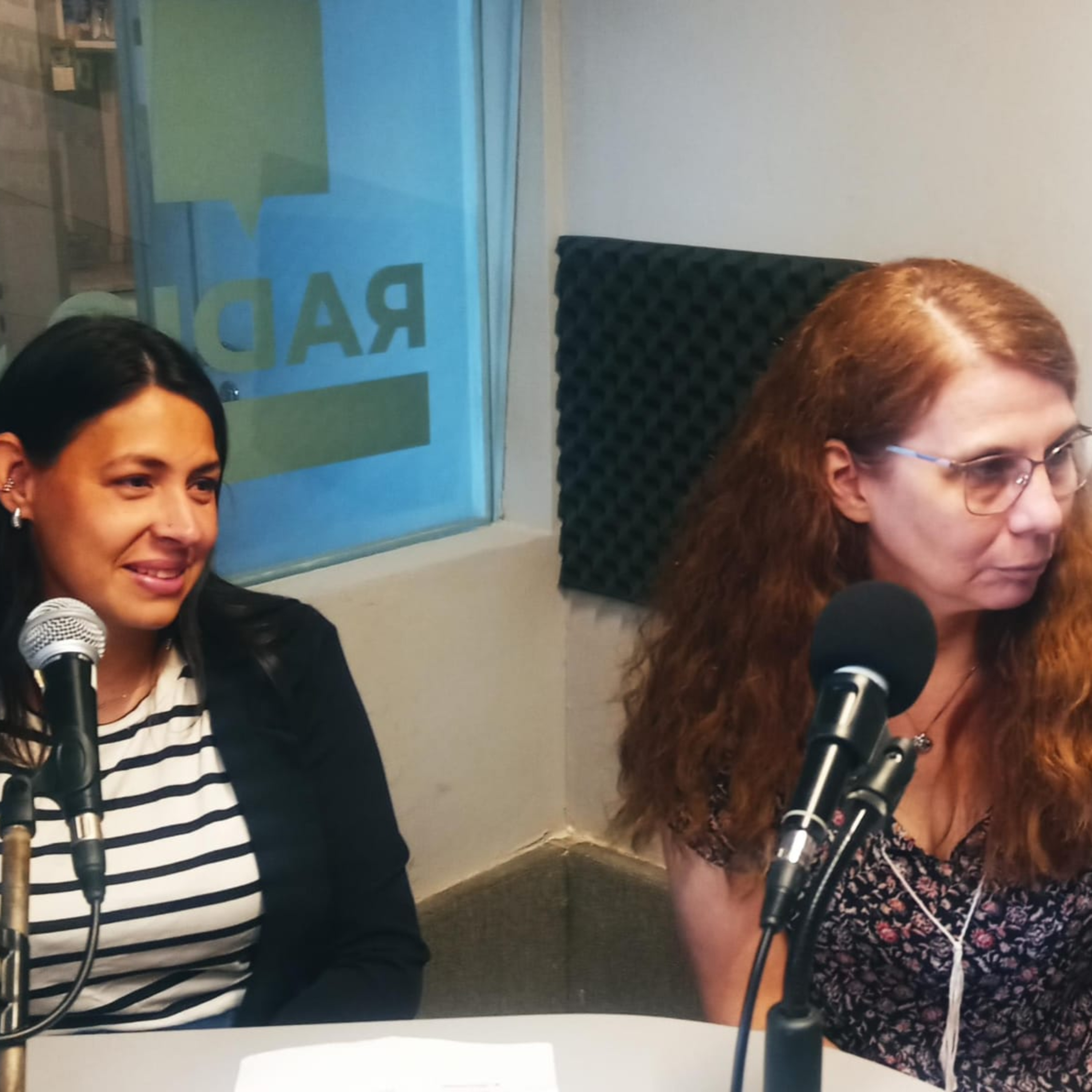 Diario de Sesiones: la memoria con rango constitucional que garantiza la transparencia legislativa episode artwork