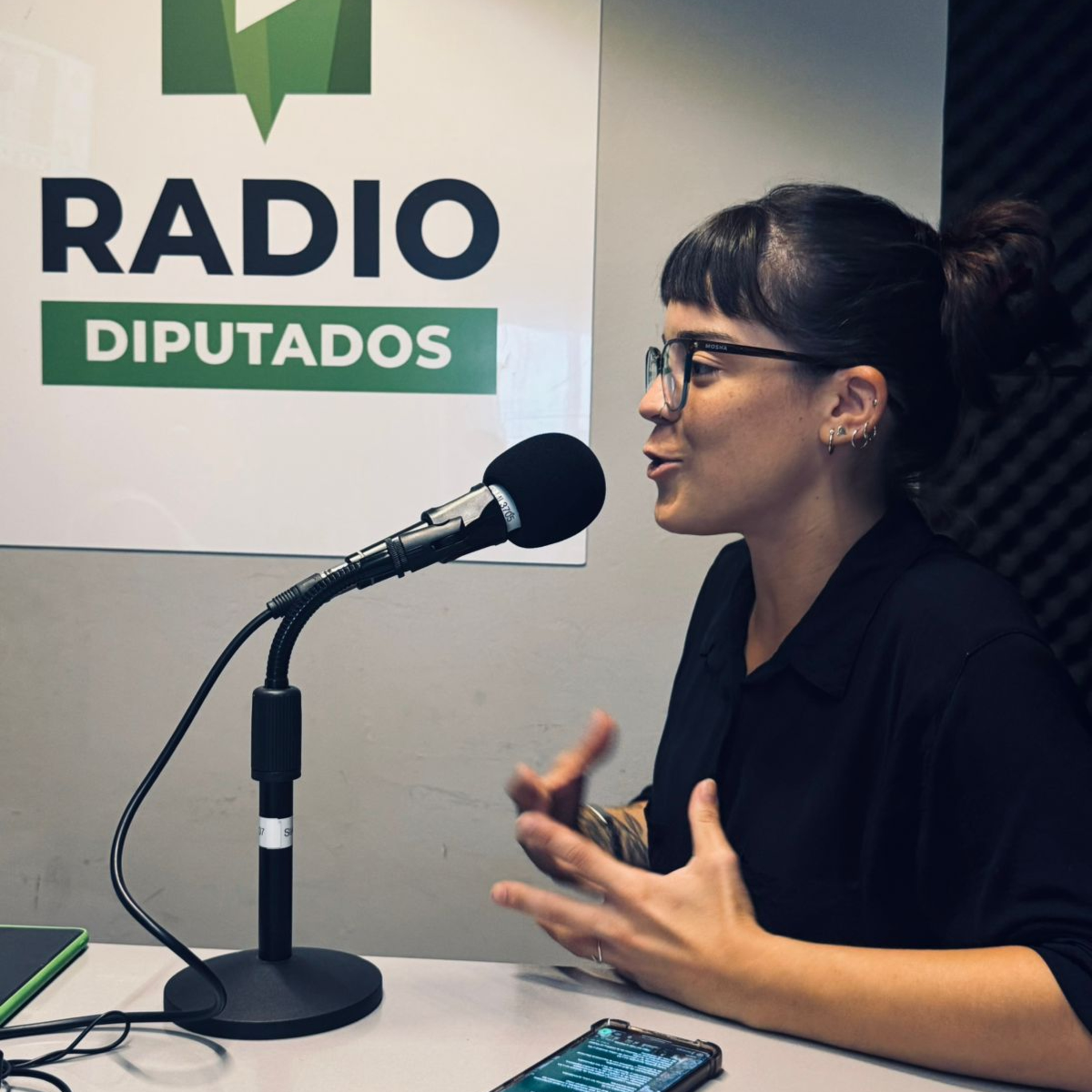 El rol del intérprete de LSA en las sesiones episode artwork