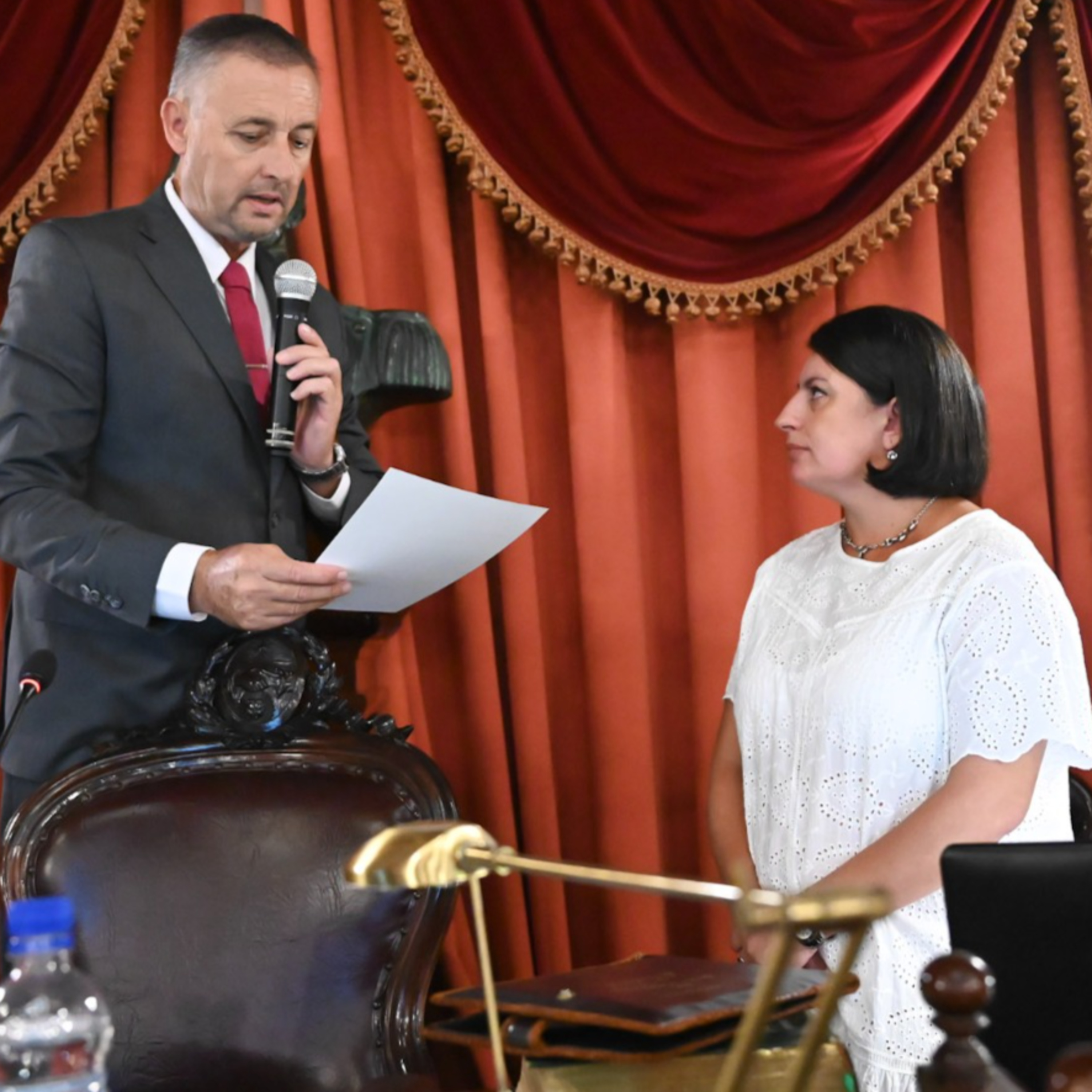 Carola Laner fue elegida vicepresidenta 1° de la Cámara de Diputados episode artwork