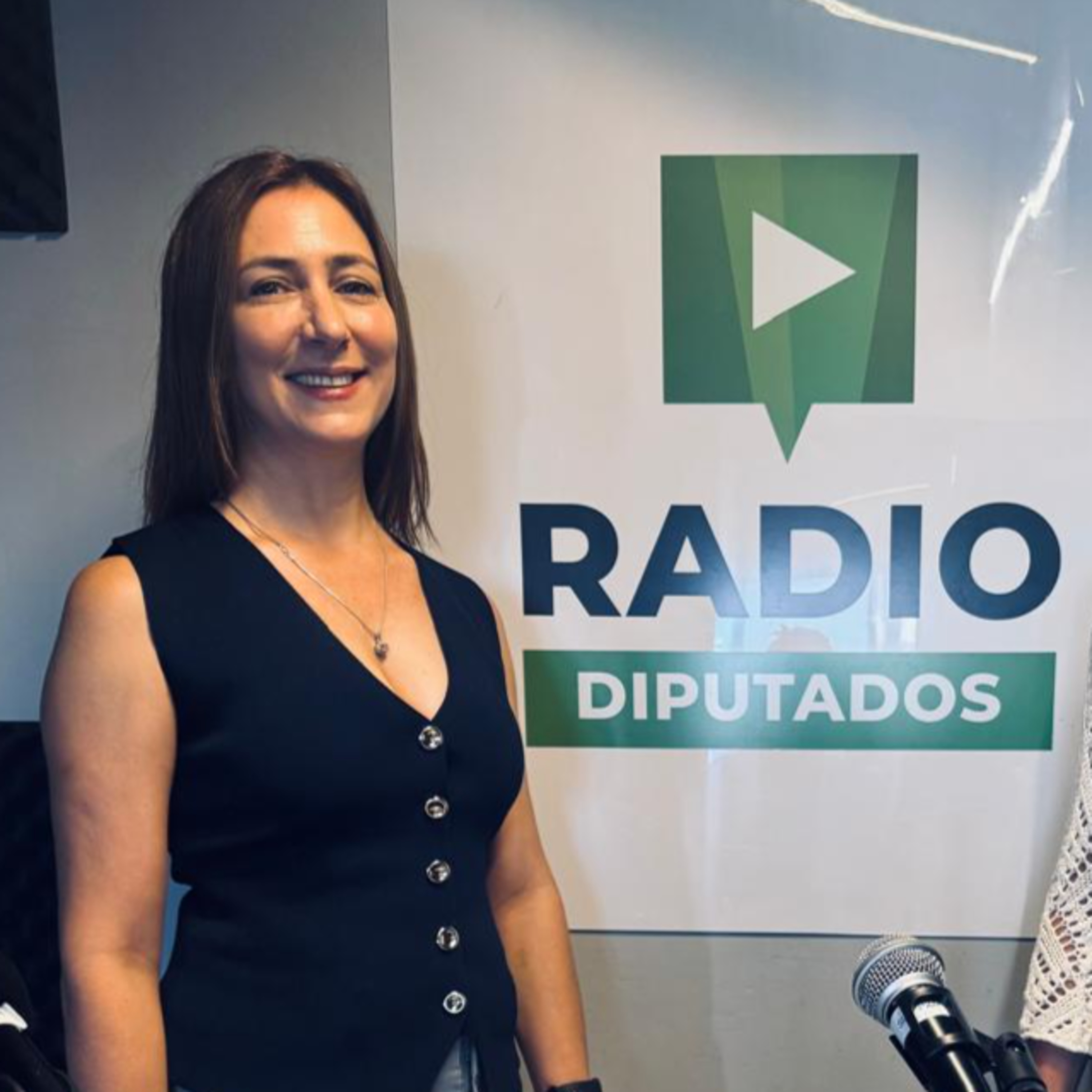 El área de Comisiones es fundamental para el funcionamiento de la Cámara de Diputados episode artwork